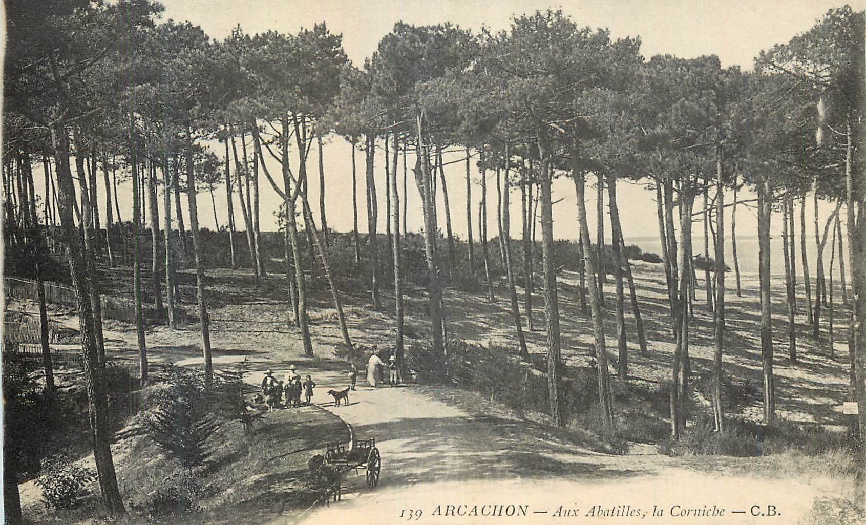 CPA Arcachon Aux Abatilles la Corniche