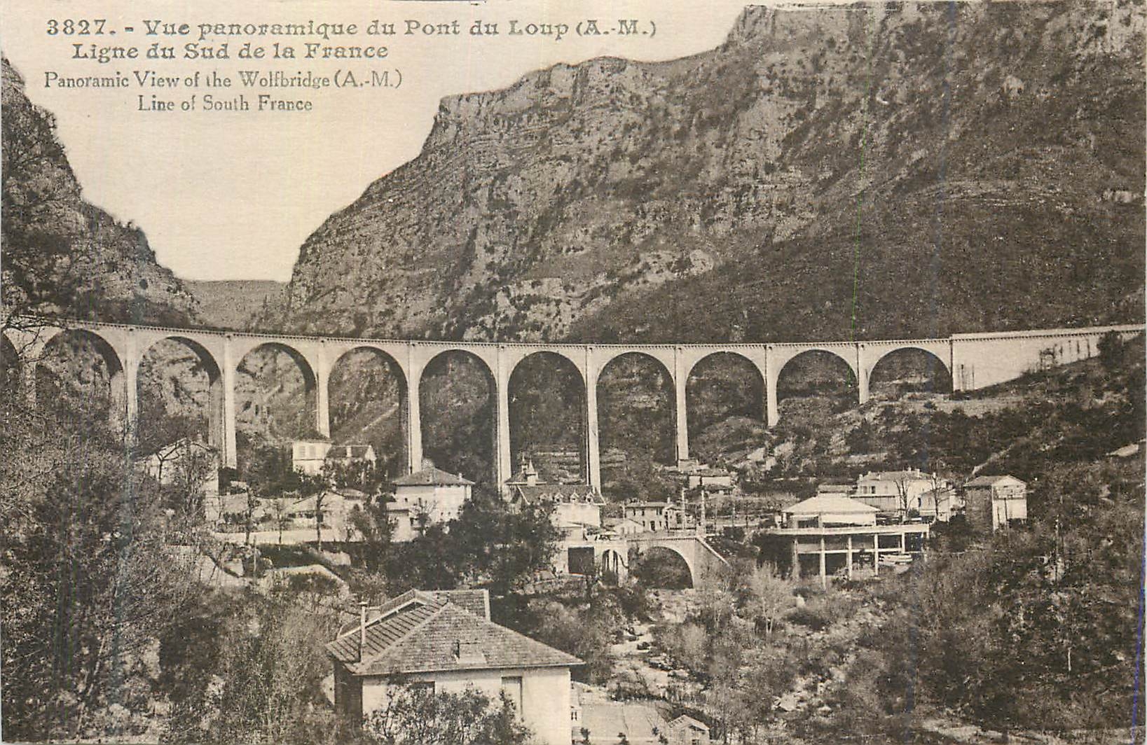 CPA Rouen vue panoramique du Pont du loup