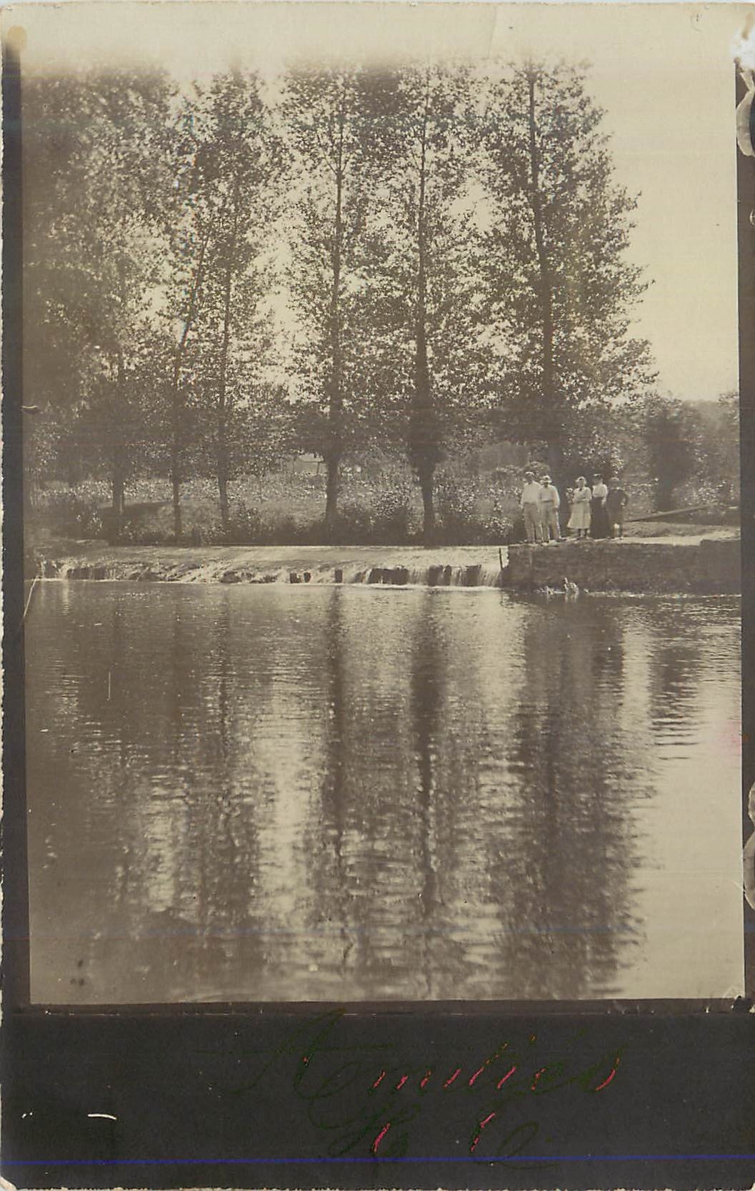 CARTE PHOTO Arbres au bord de l'eau