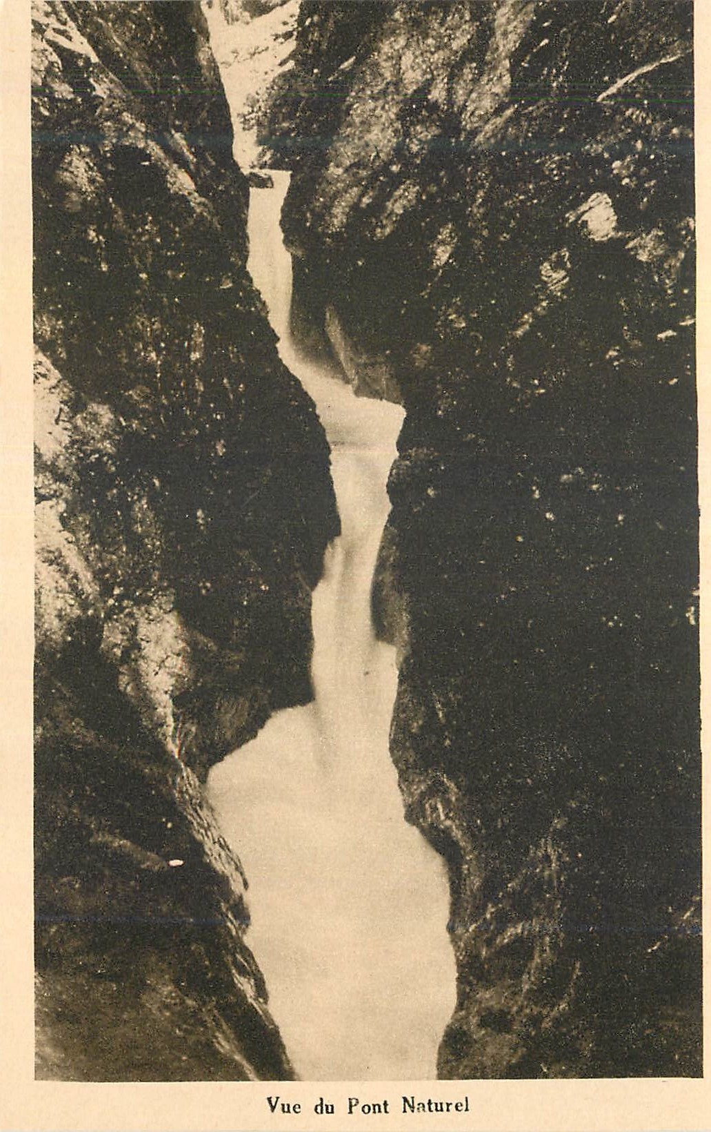 CPA Vue de la Pont de nature de gorges de diosaz
