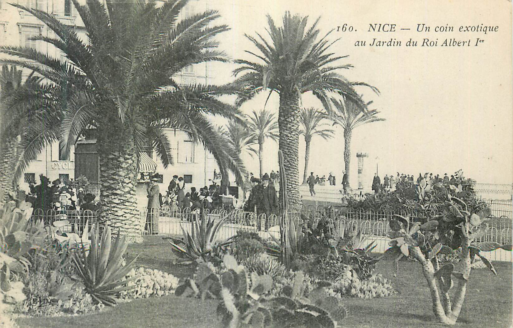 CPA Nice Un coin exotique au jardin du Roi Albert 1er