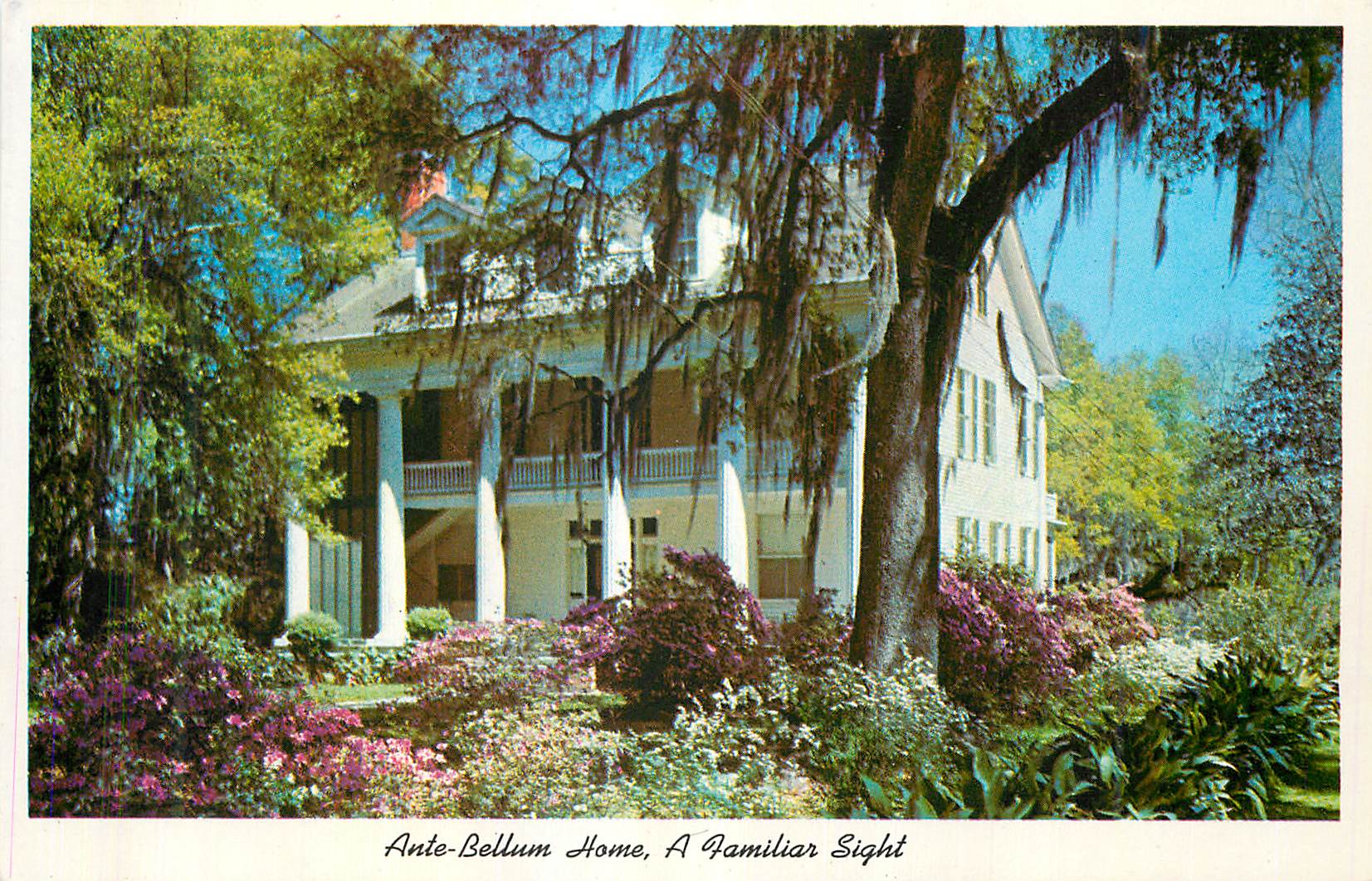  CPM Ante Bellum Home A Familiar Sight In Southern Louisana