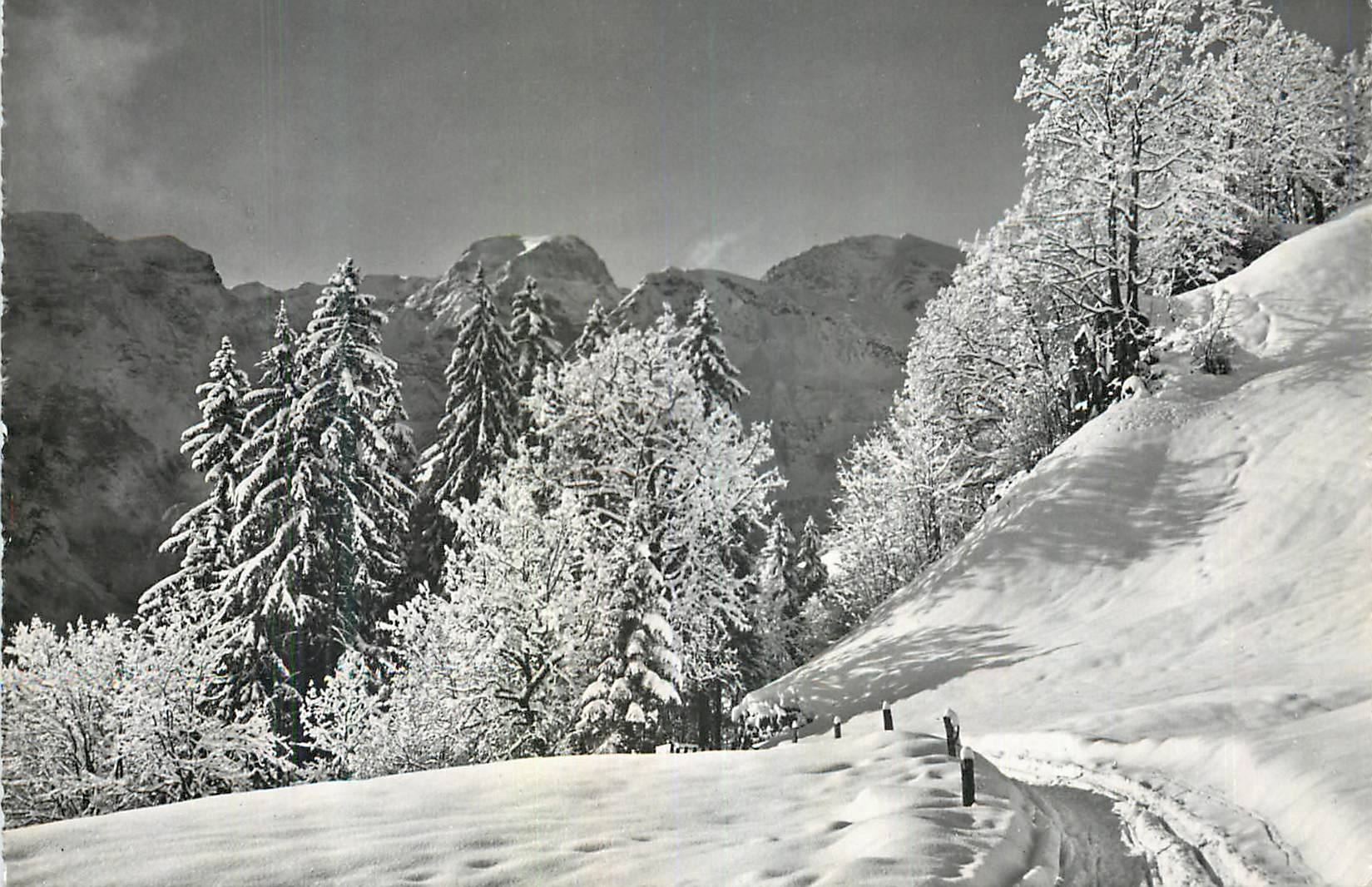Braunwald 1300 m — chemin vers le Tödi 3623 m et le Gemsfayren 2976 m — Fred Barbier, 1200/8