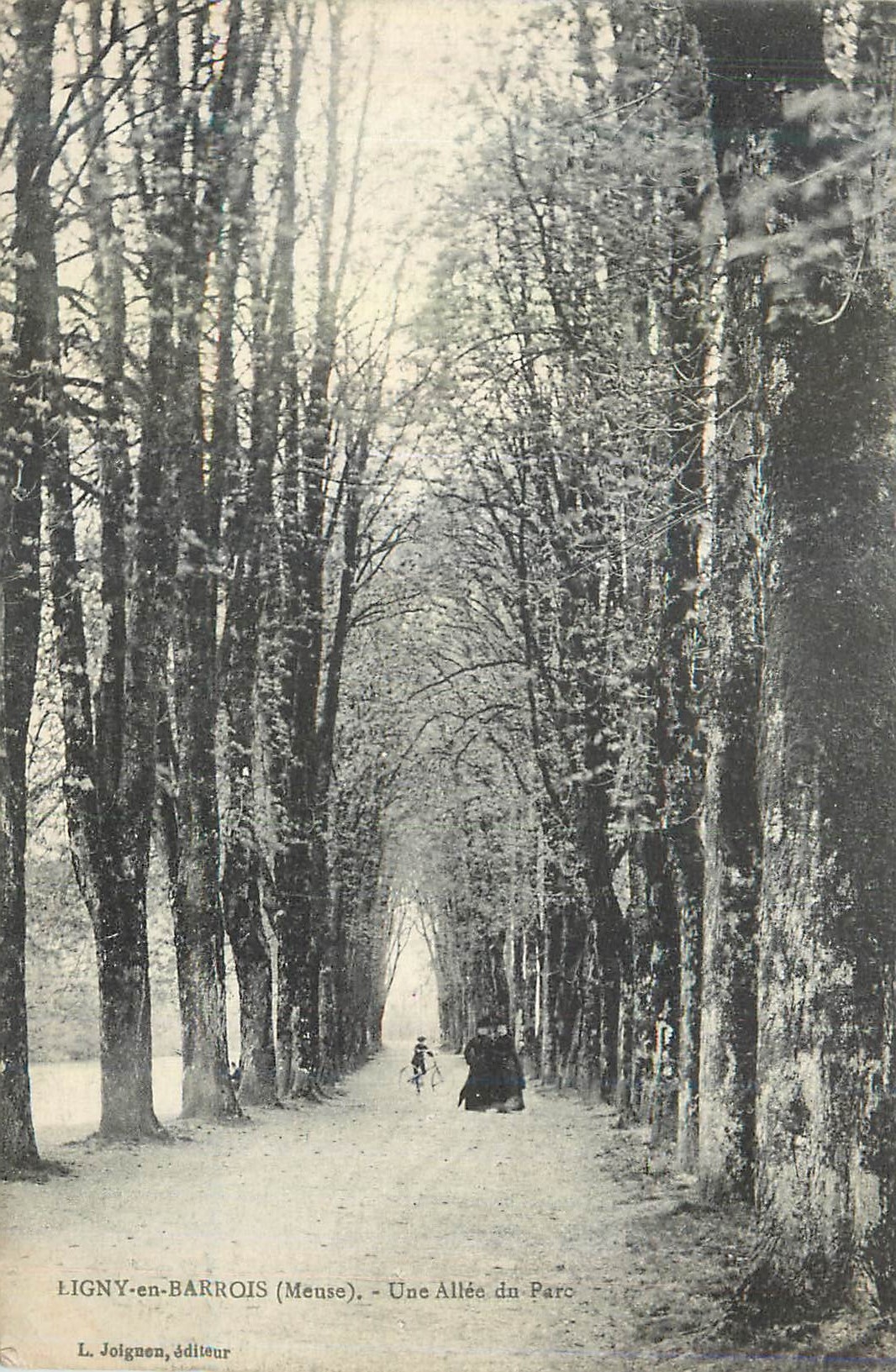 CPA Ligny en Barrois une allee du parc