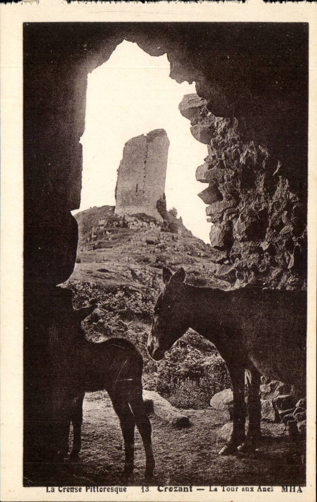 Crozant CPA La tour aux anes (donkey)
