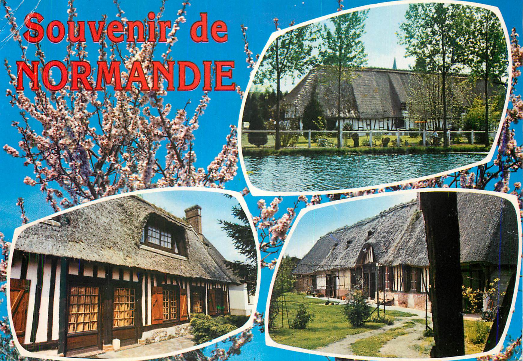 CPM Souvenir de Normandie Chaumieres normandes