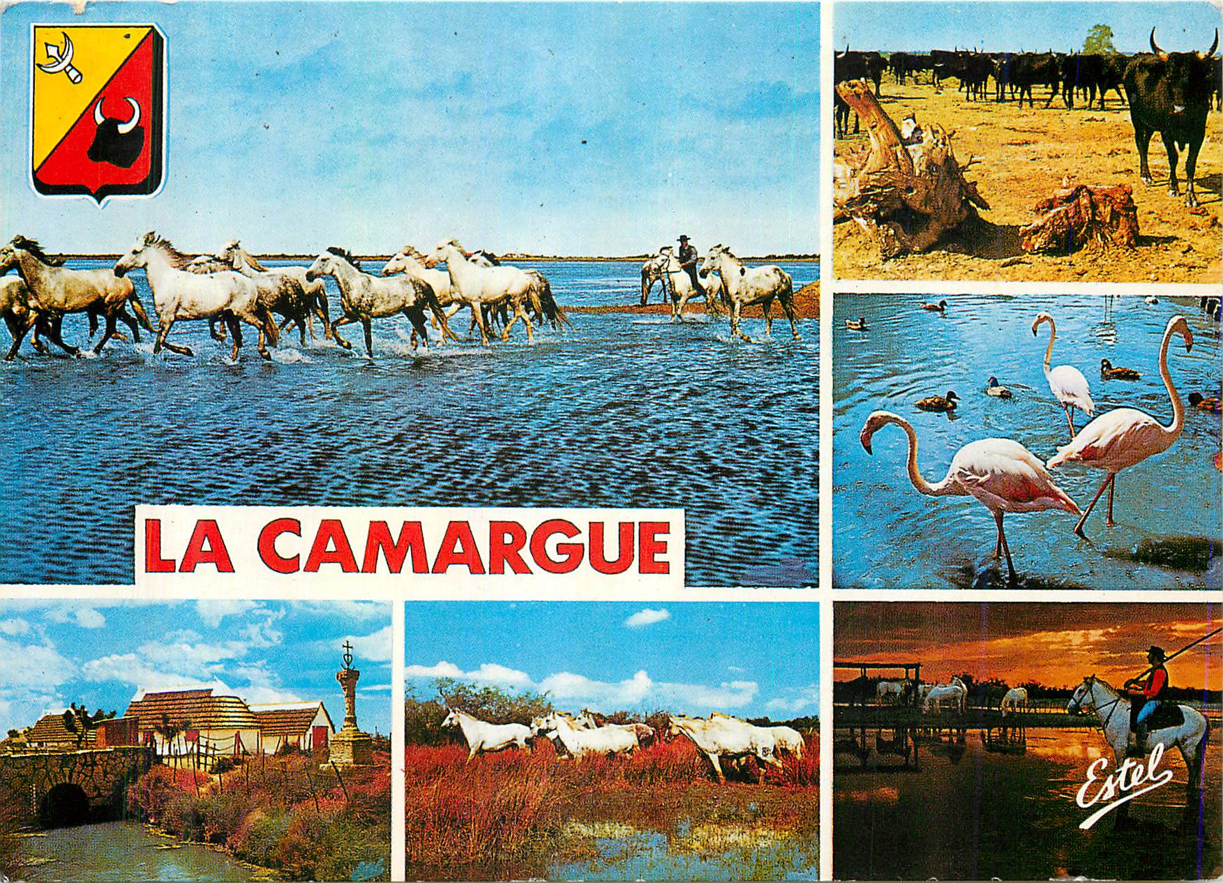 CPM La Camargue Passage de cnevaux Marade de taureaux Flamants Pont du Maure et Croix du Gradian Chevaux Coucher de sole