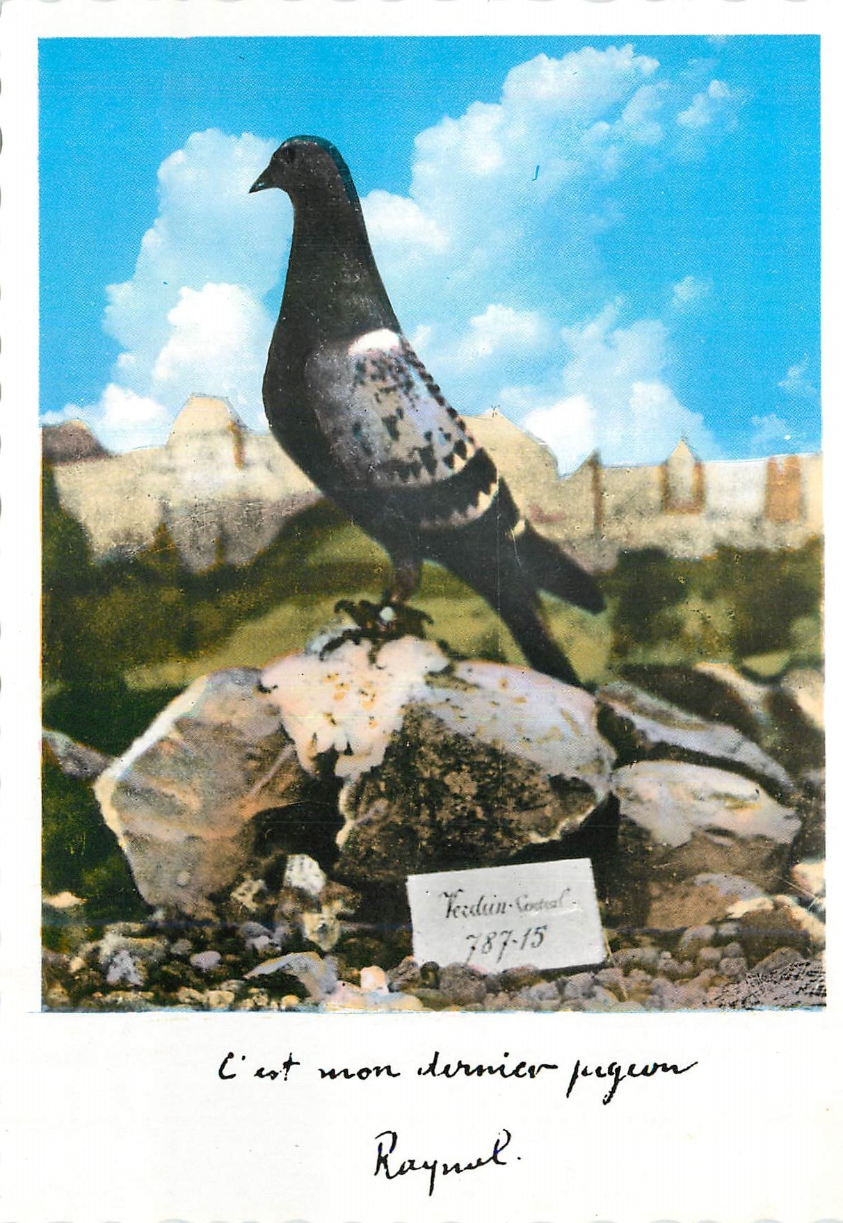 CPM Oiseau Defenseur du Fort de Vaux Militaria Pigeon