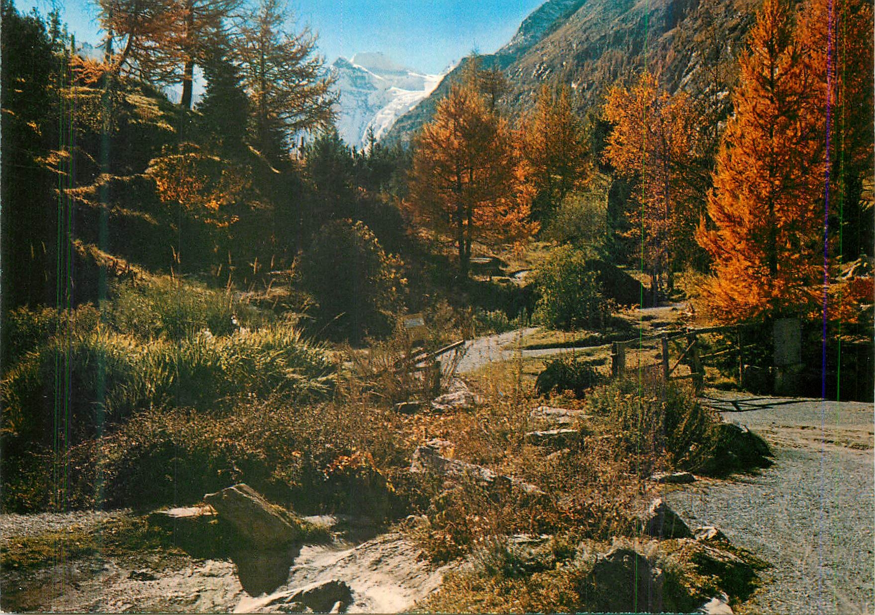 CPM Valle d'Aosta Cogne Valnontey Jardin Botanique
