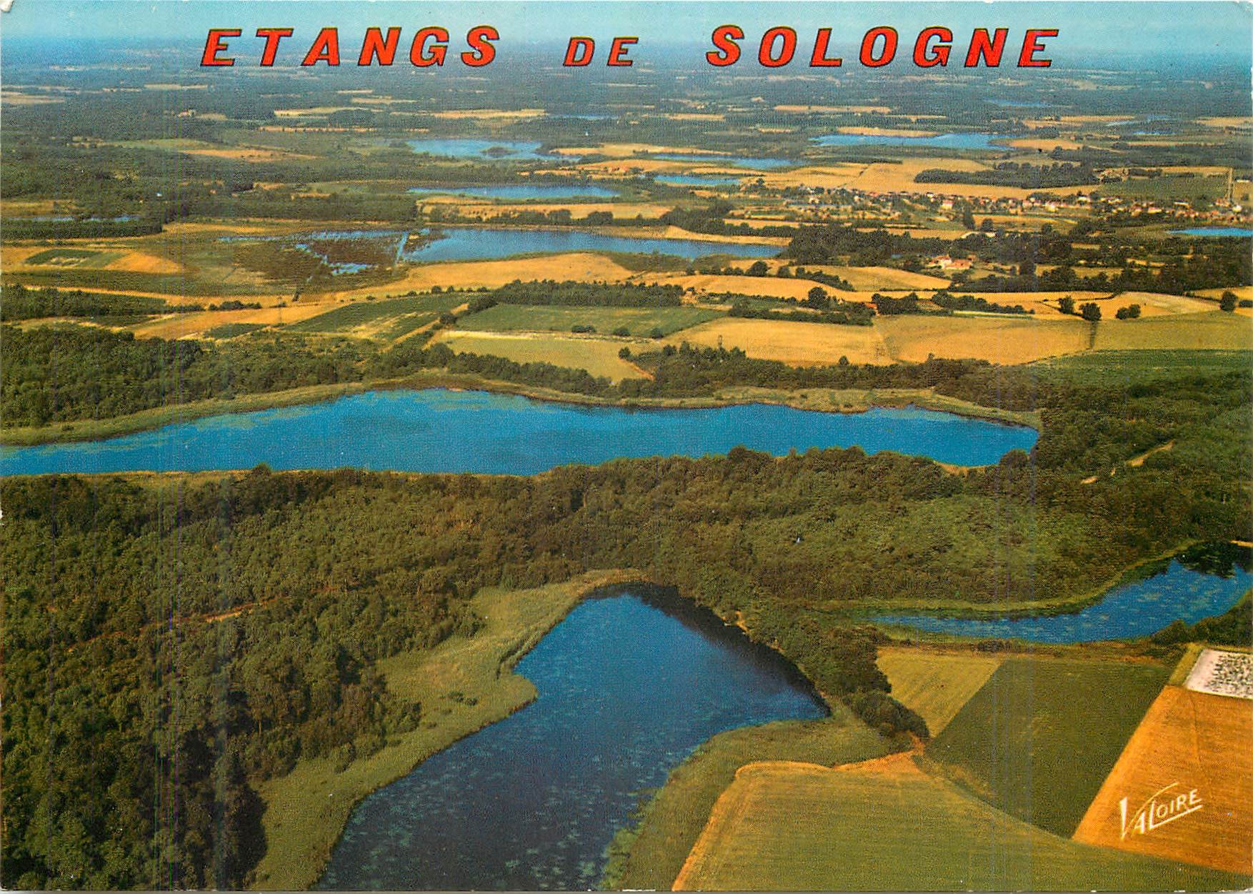 CPM Etangs de Sologne vue aerienne des etangs lieux de predilection des pecheurs et des chasseurs
