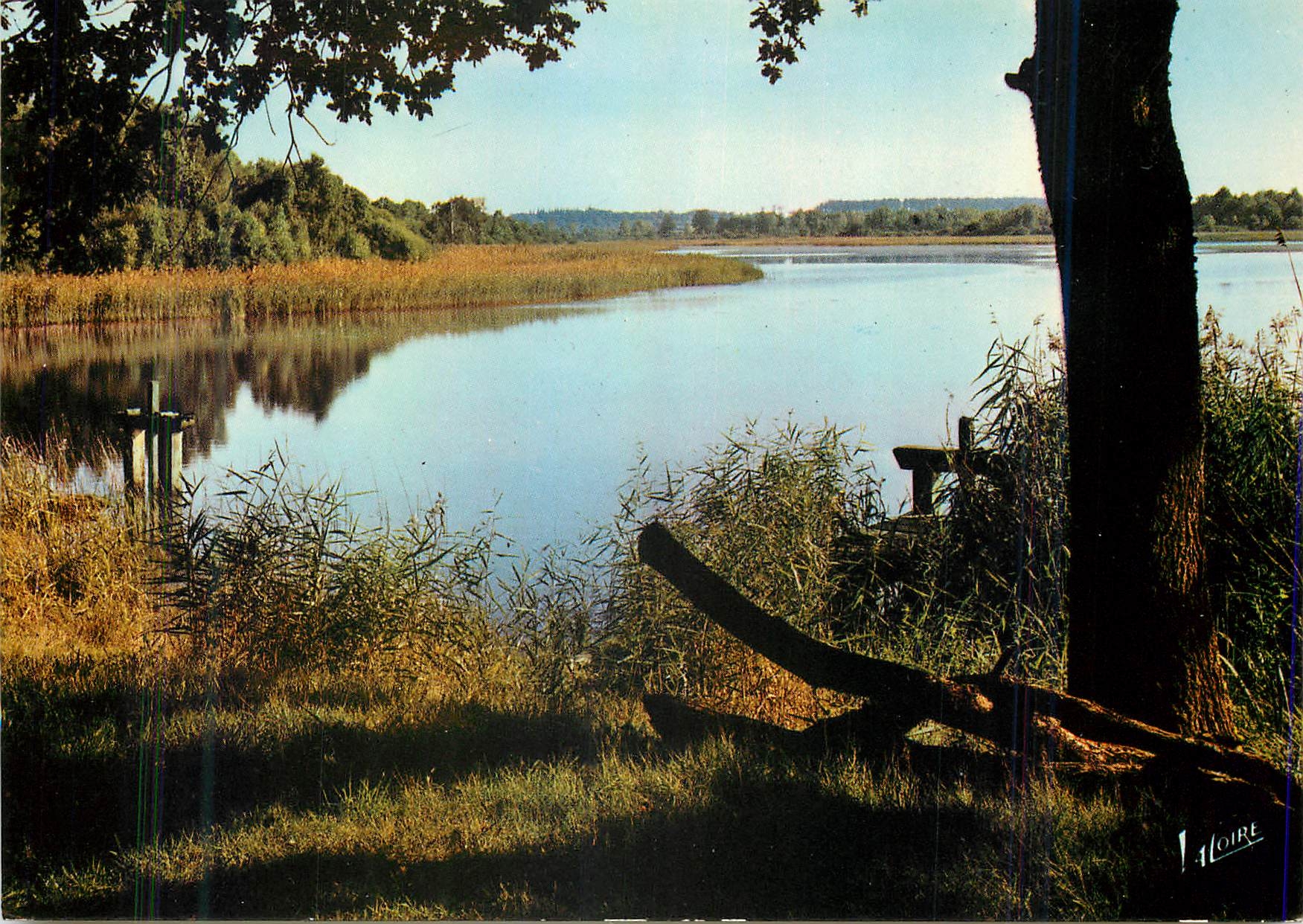 CPM En Sologne L'Etang aux deux vannes