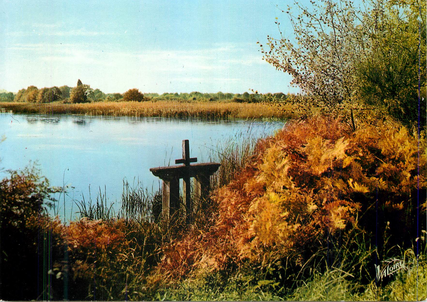 CPM En Sologne Etang a l'automne