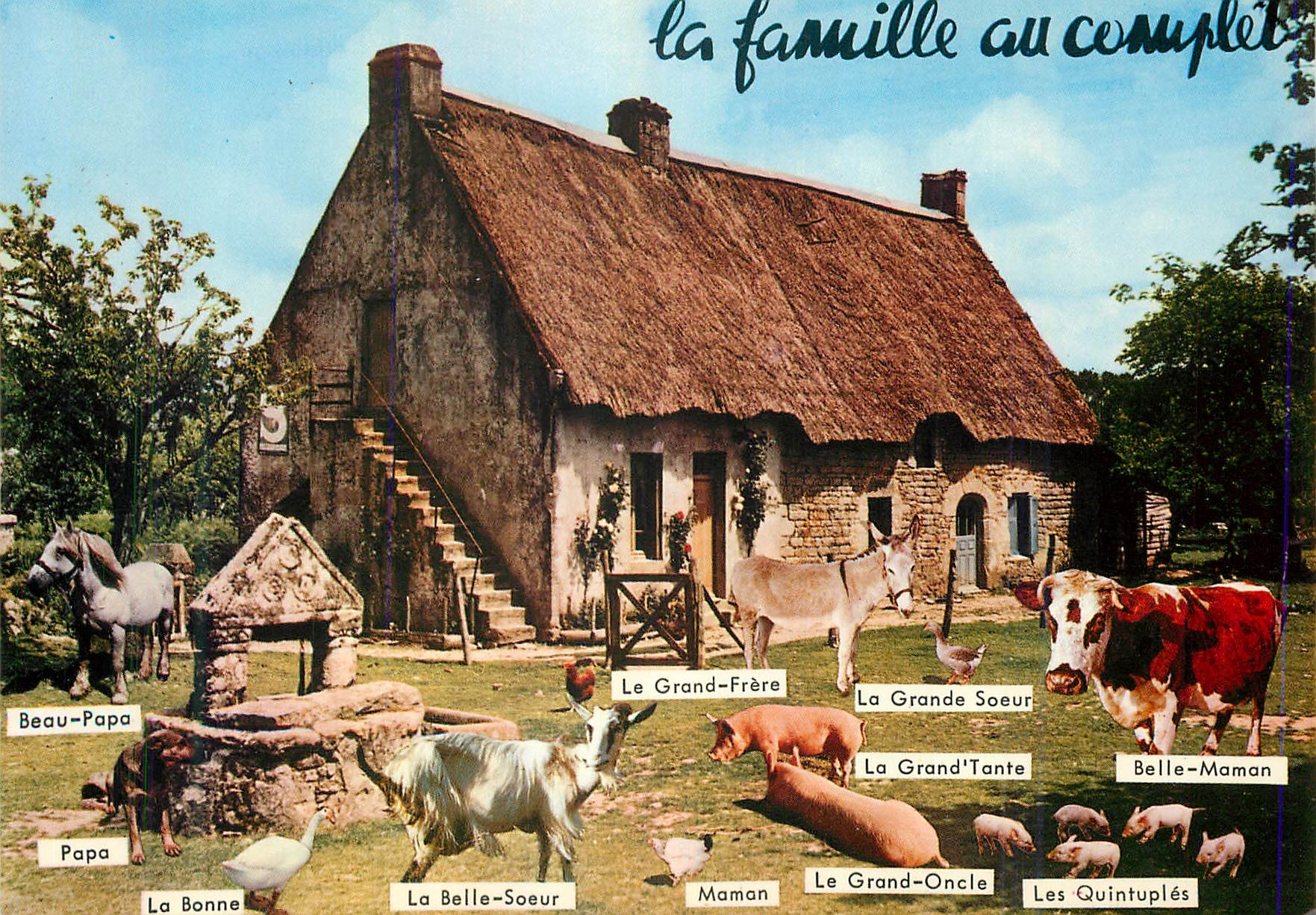CPM La famille au complet ferme animaux Chevre Ane Donkey Vache Porc Cochon Cheval
