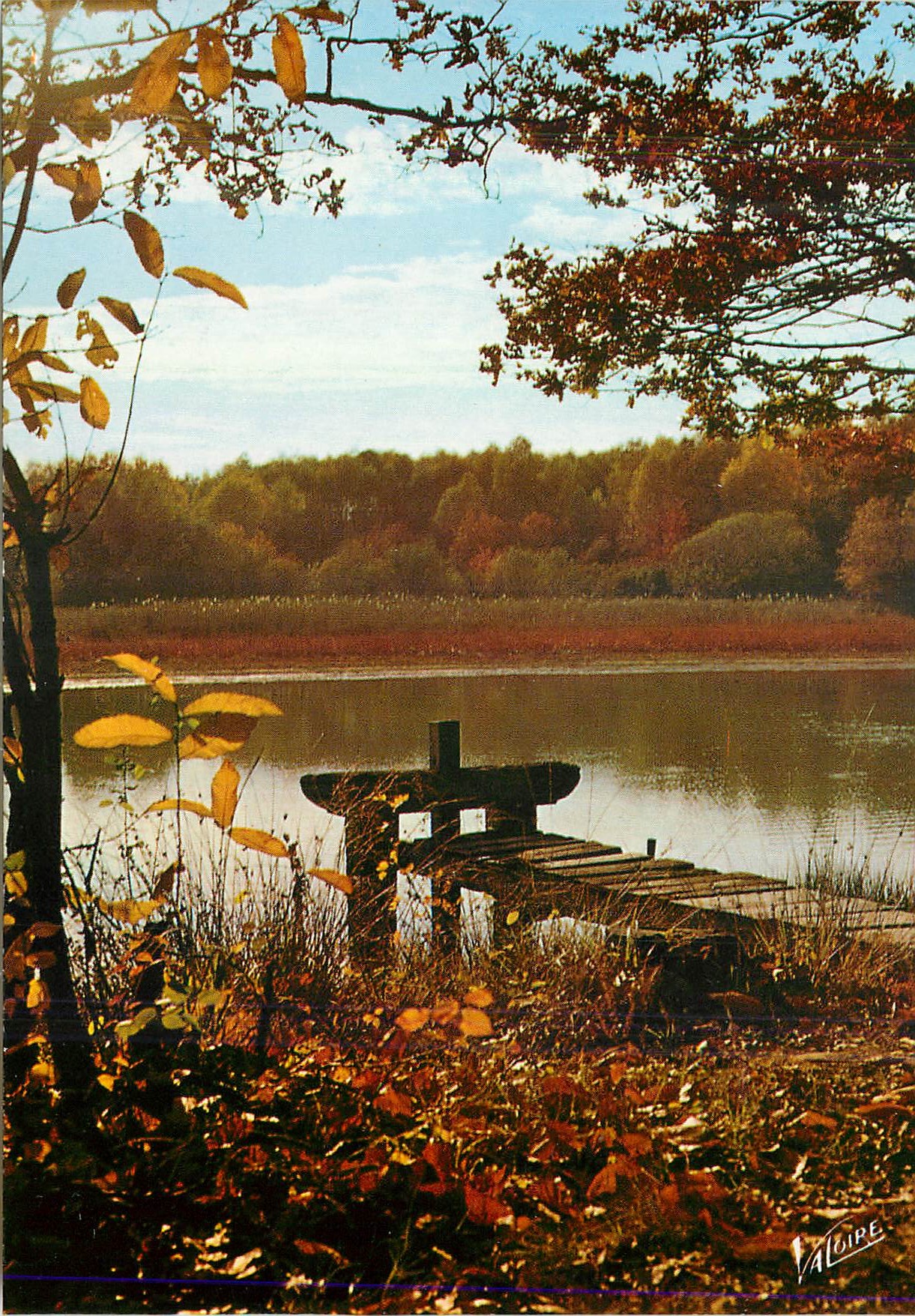 CPM En Sologne Un etang a l'automne