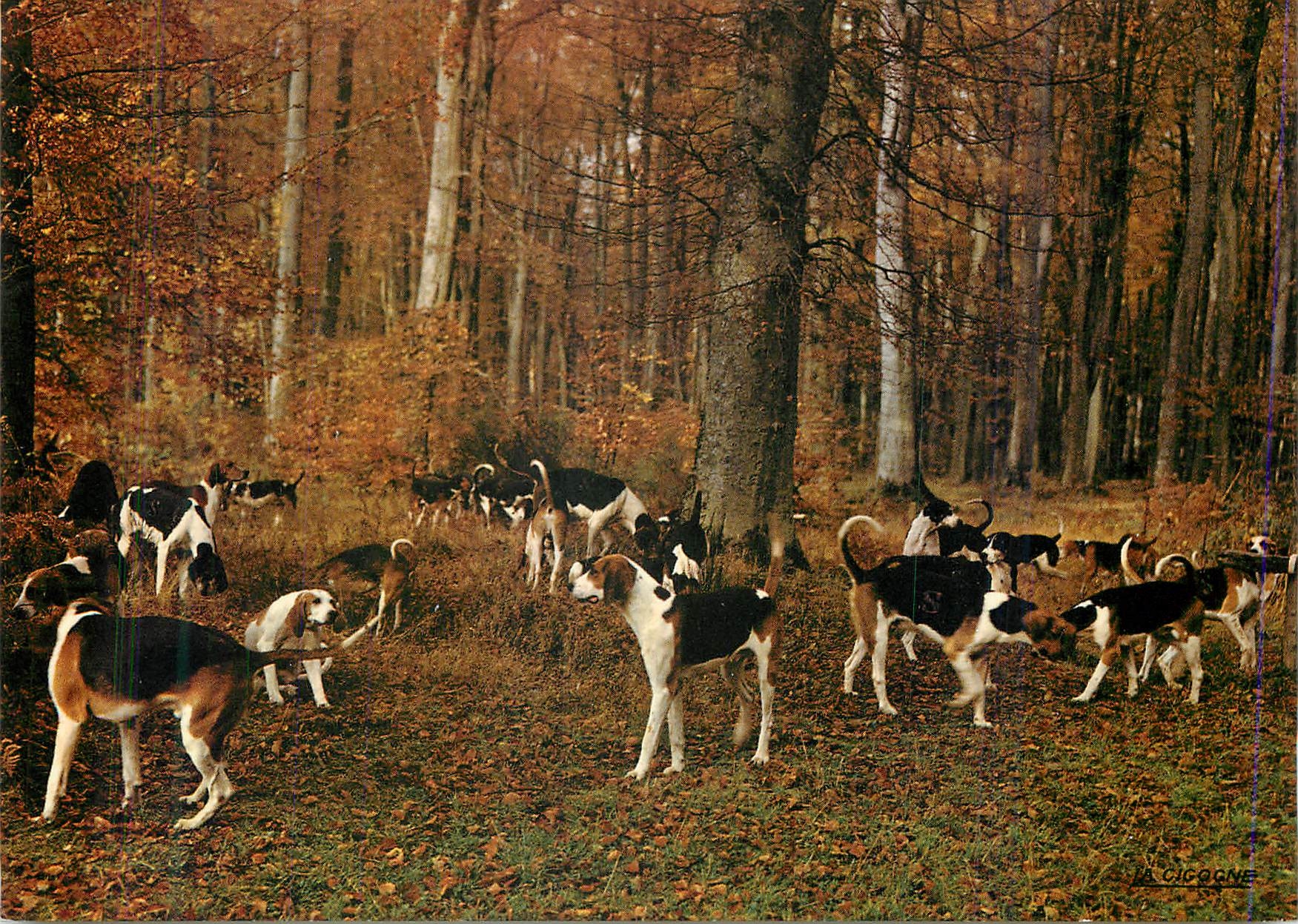 CPM Paysage de France La Meute en Foret De la depouille de nos bois L'automne avait jonche la terre Chiens Chasse