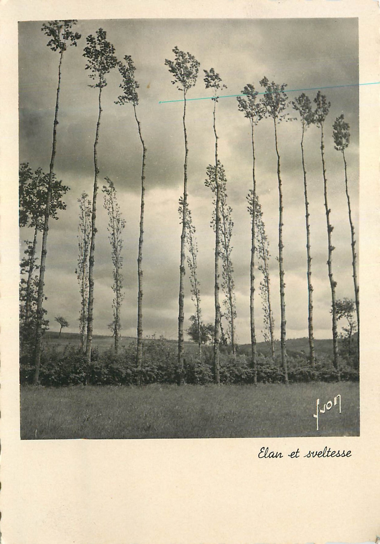 CPM Elan et Sveltesse La Douce France