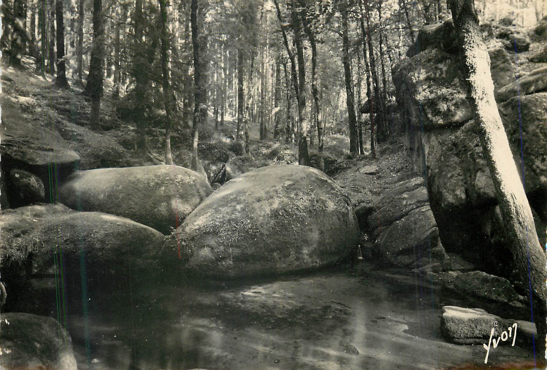 CPM Huelgoat (Finistere)La mare aux sangliers