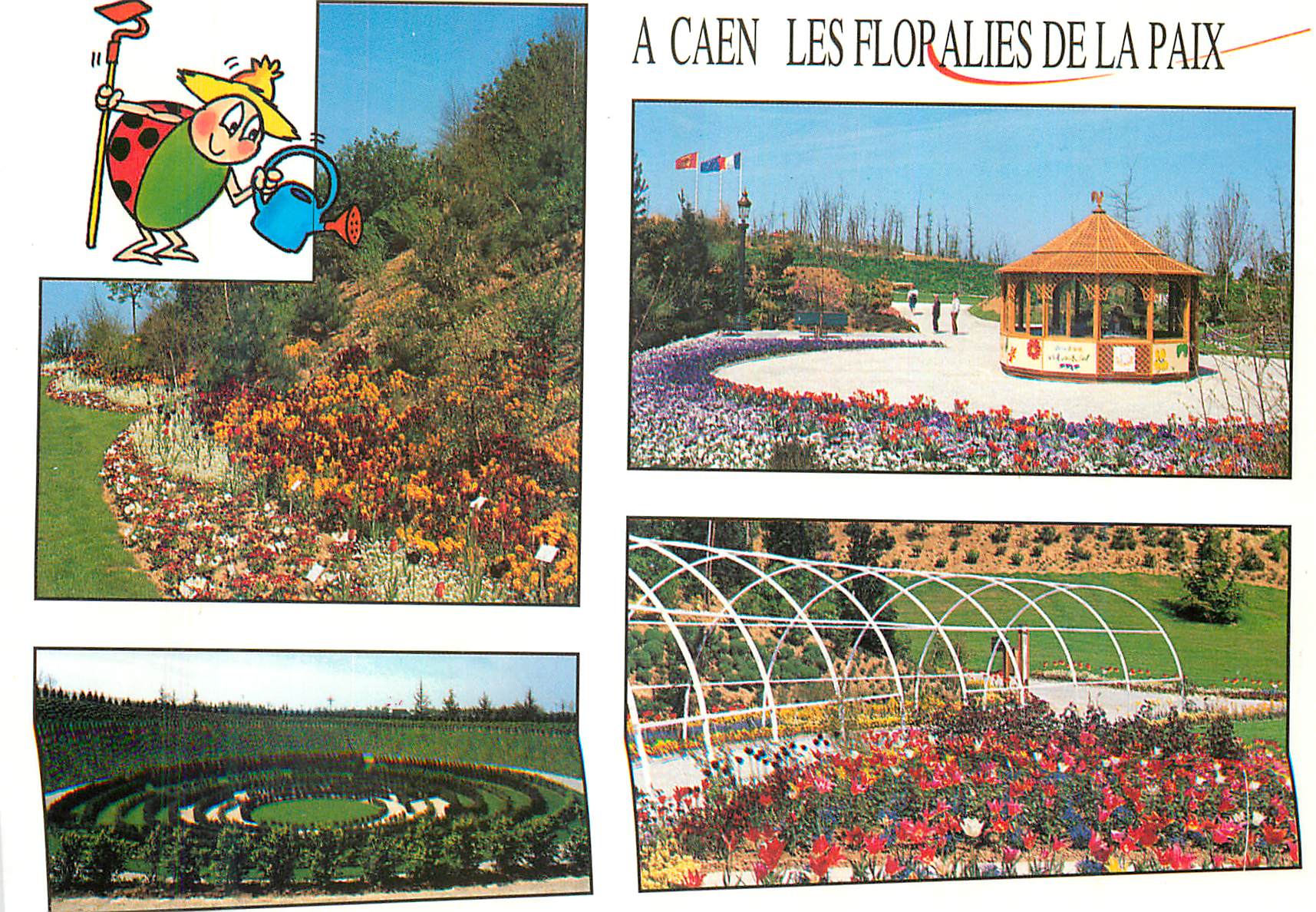 CPM A Caen Les Floralies de la paix Colline aux oieseau pres du Memorial