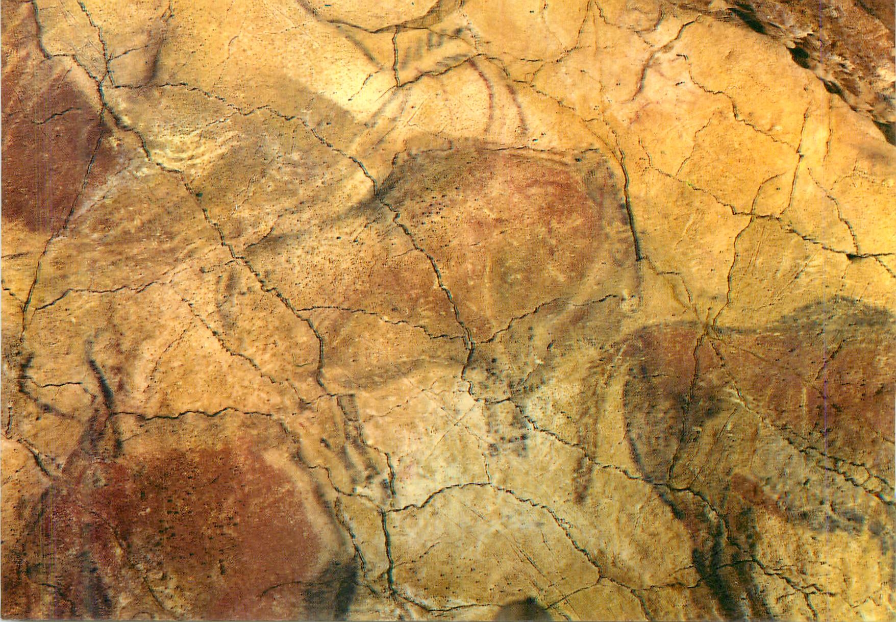 Cuevas de Altamira — Conjunto del techo — Joaquin Bedia Cano - Editor Santander