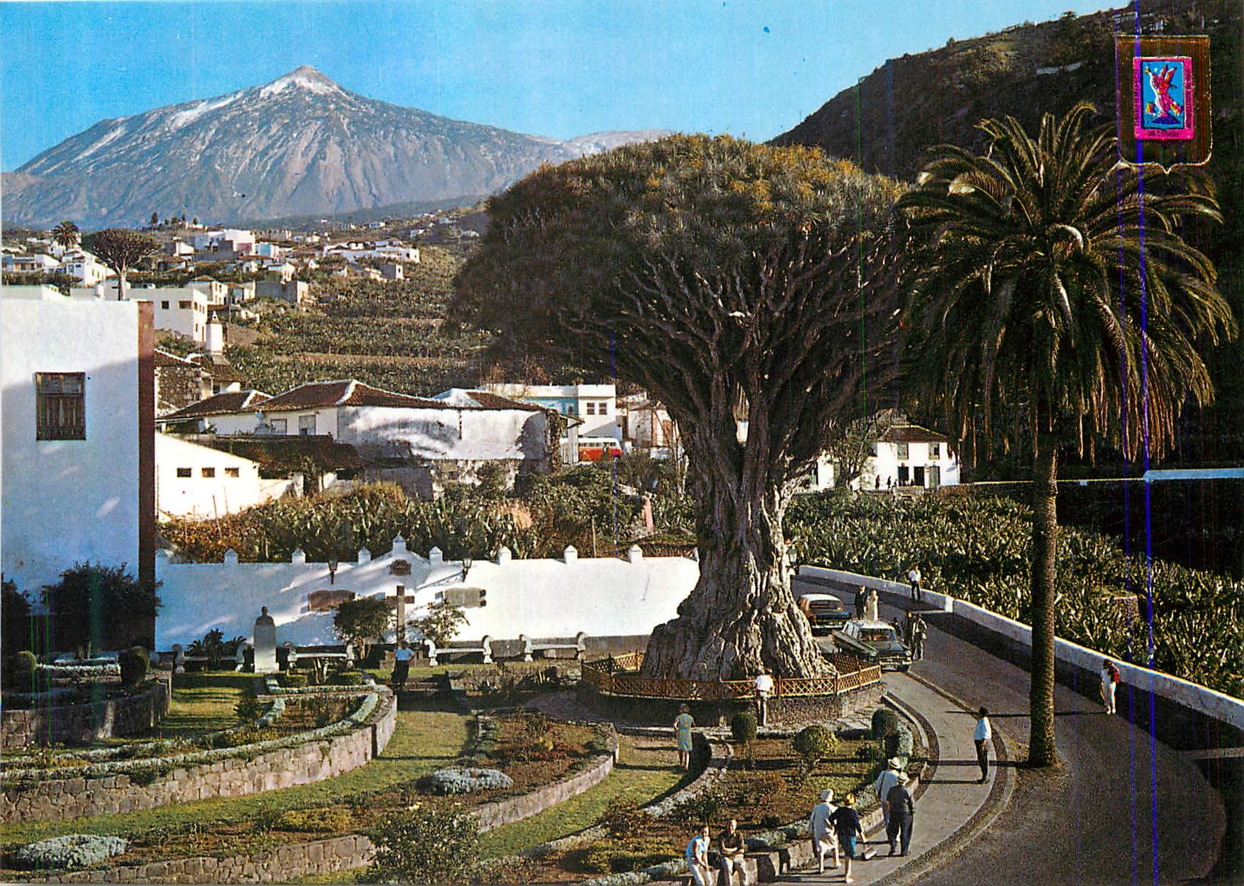 CPM Icod de Los Vinos Tenerife El Drago millenario