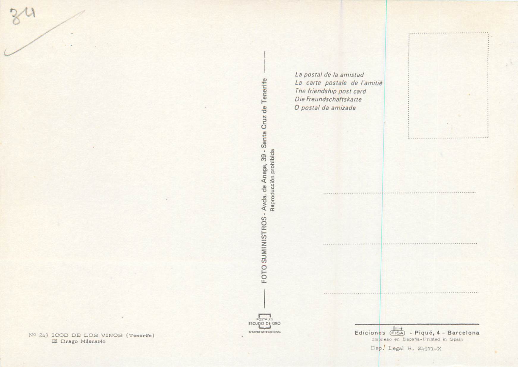 CPM Icod de Los Vinos Tenerife El Drago millenario — Back