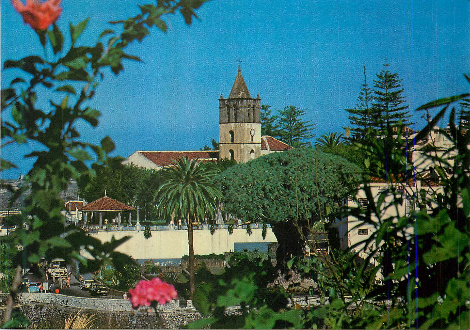 CPM Icod de Loas Vinos The thousands of years old Dragon Tree