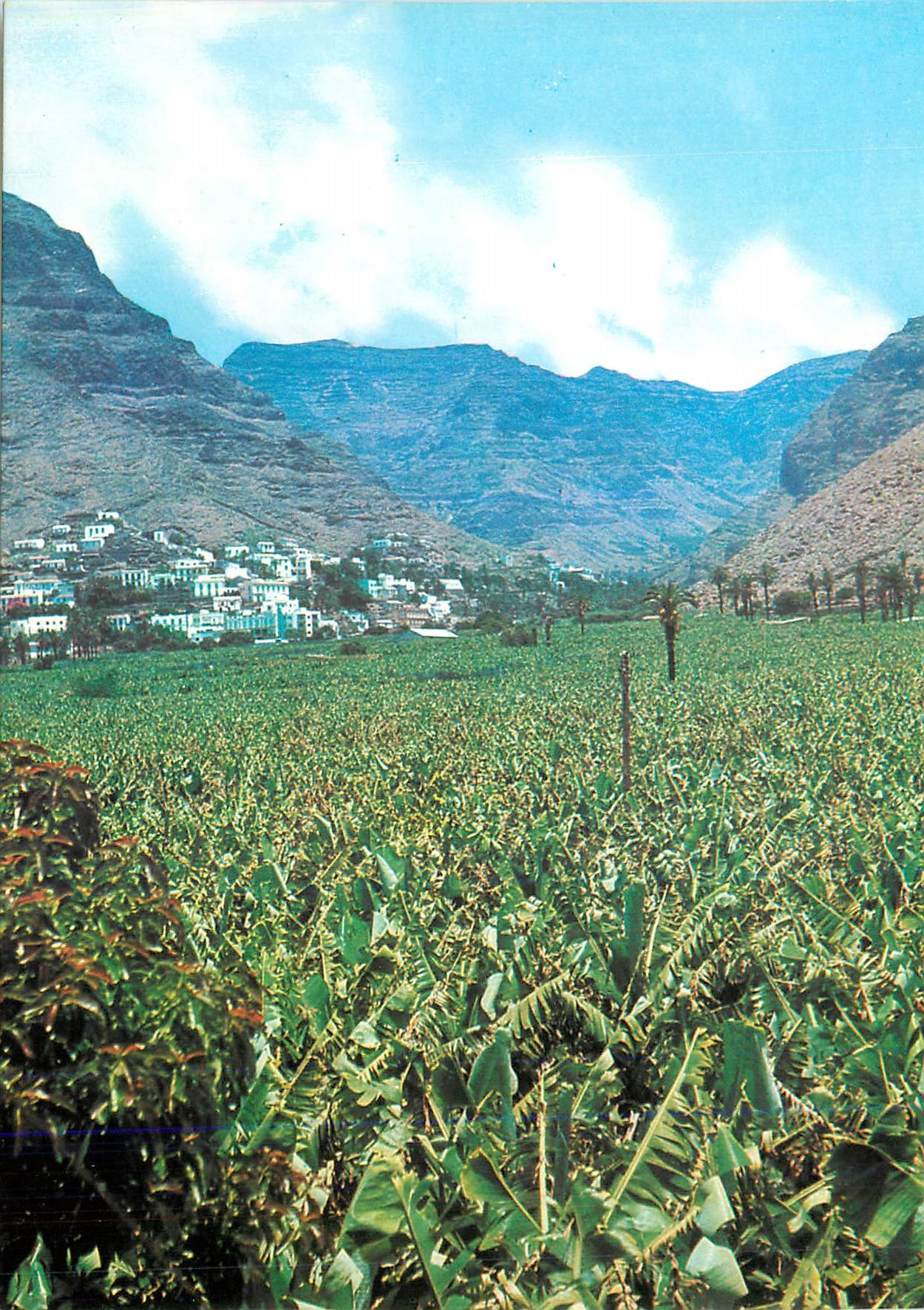 CPM Valle Gran Rey Gomera Vue depuis  (La Puntilla)
