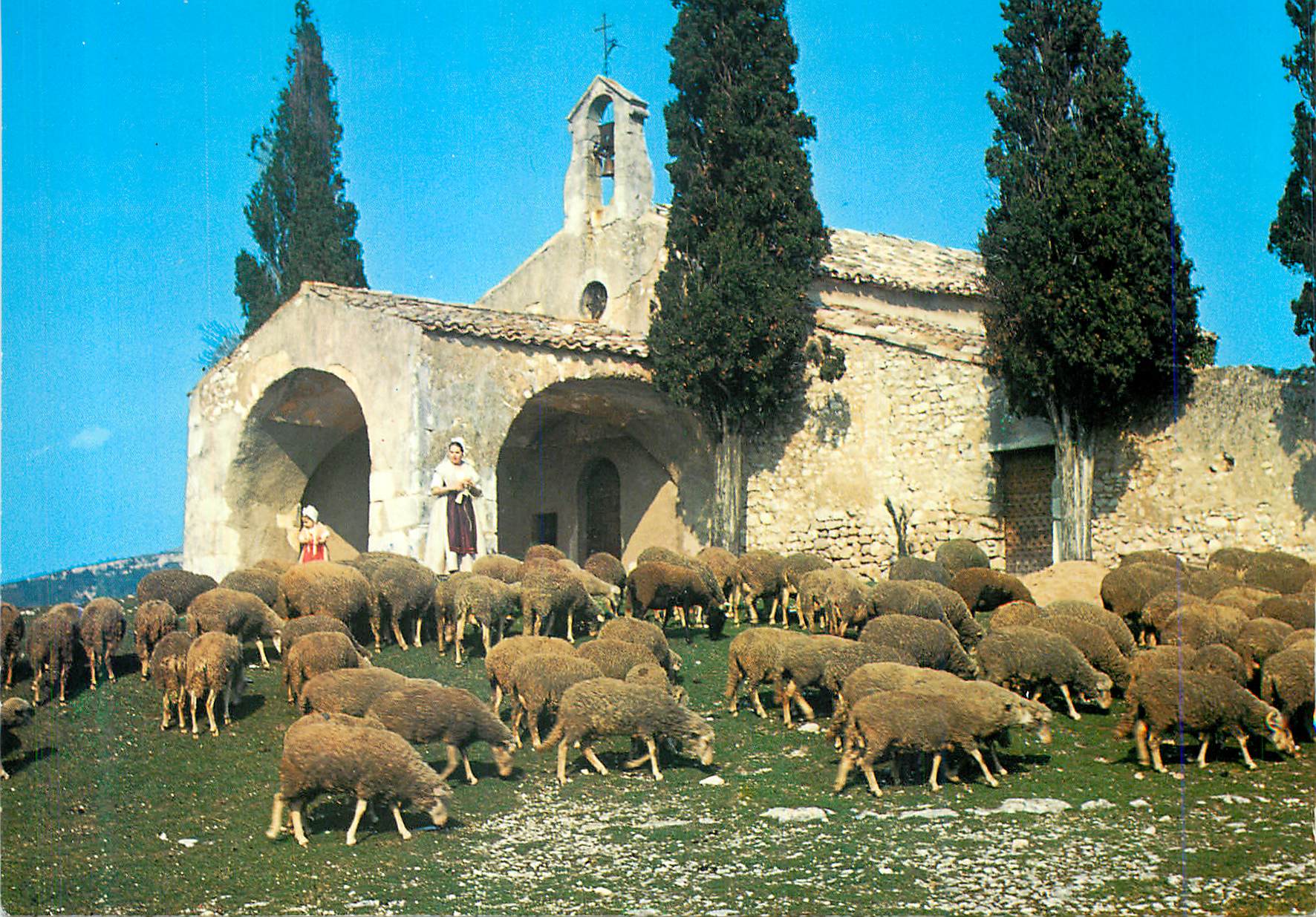 CPM Les Belles Images de Provence Moutons devant la Chapelle St Sixte a Eygalieres Moutons