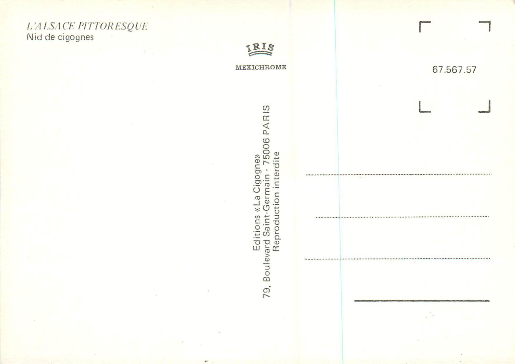 CPM L'Alsace Pittoresque Nid de cigognes — Rückseite