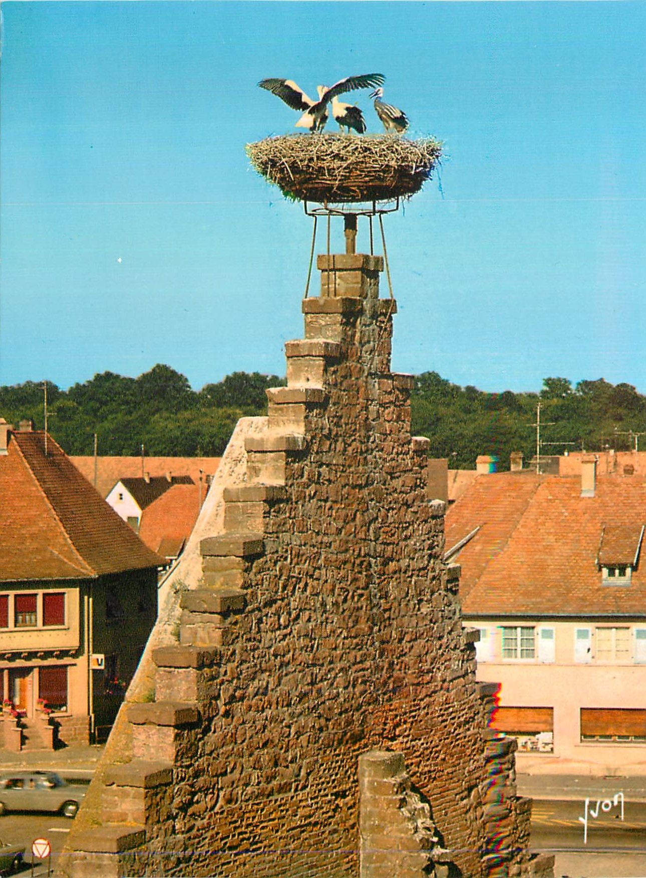 CPM Couleurs et Lumiere de France L'Alsace Ostheim (Haut Rhin) Nid de Cigognes