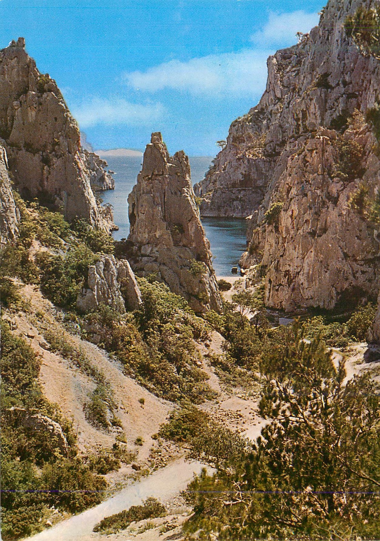 CPM Une Rose a la Boutonniere de la Provence Cassis sur Mer Calanque d'En Vau