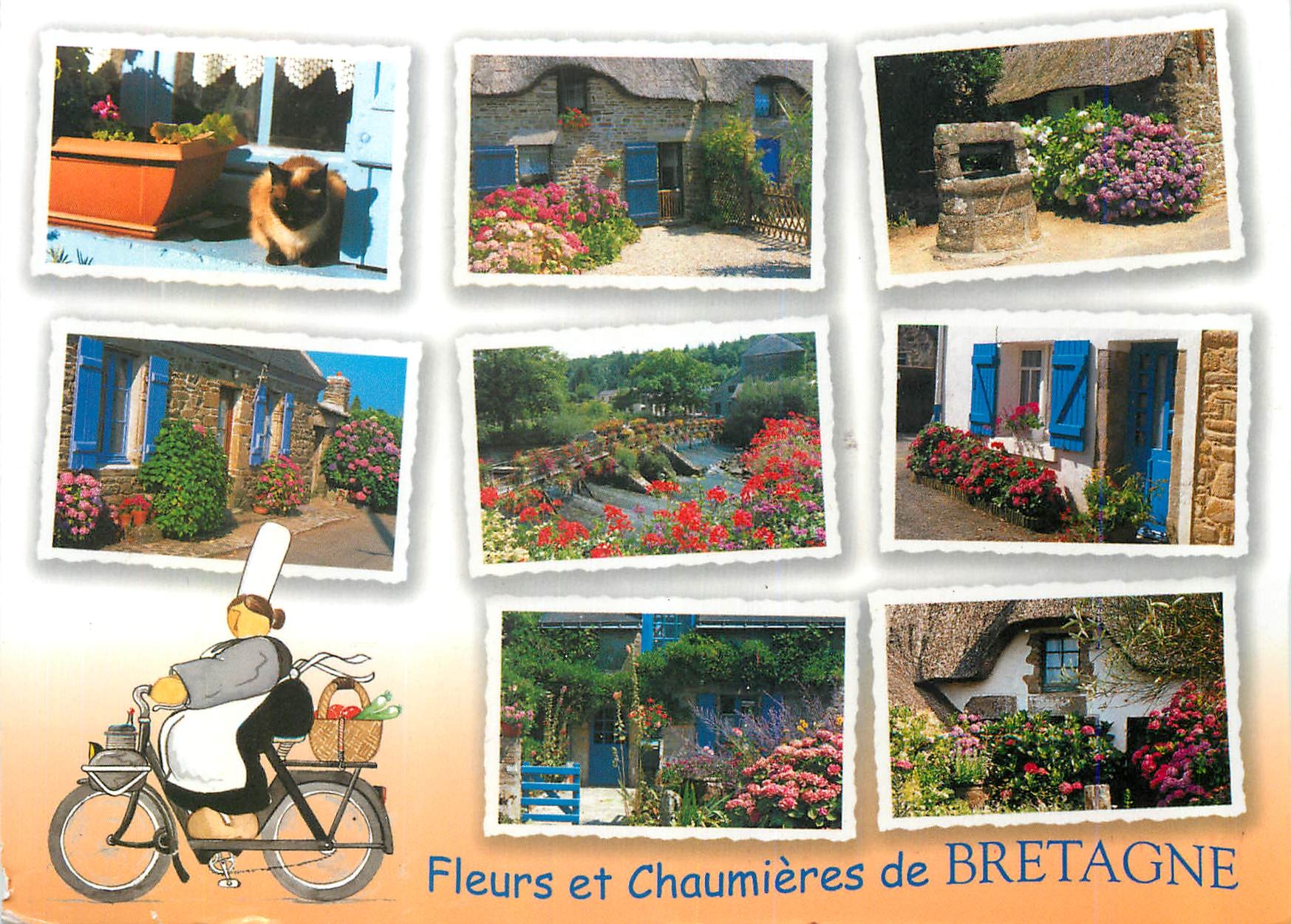 CPM Fleurs et Chaumieres de Bretagne Velo Cycle 