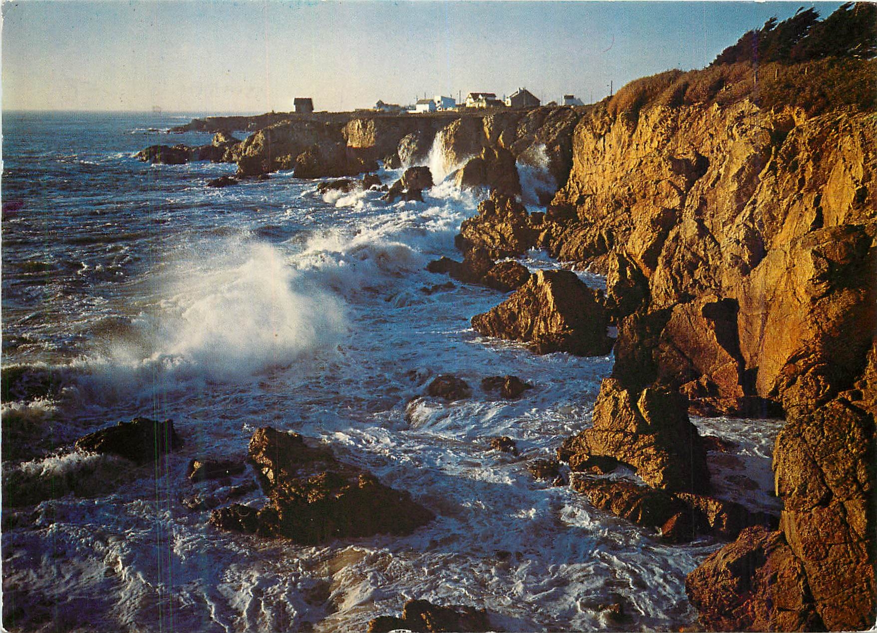 CPM Couleurs de Bretagne La cote d'amour le Croisic La cote sauvage