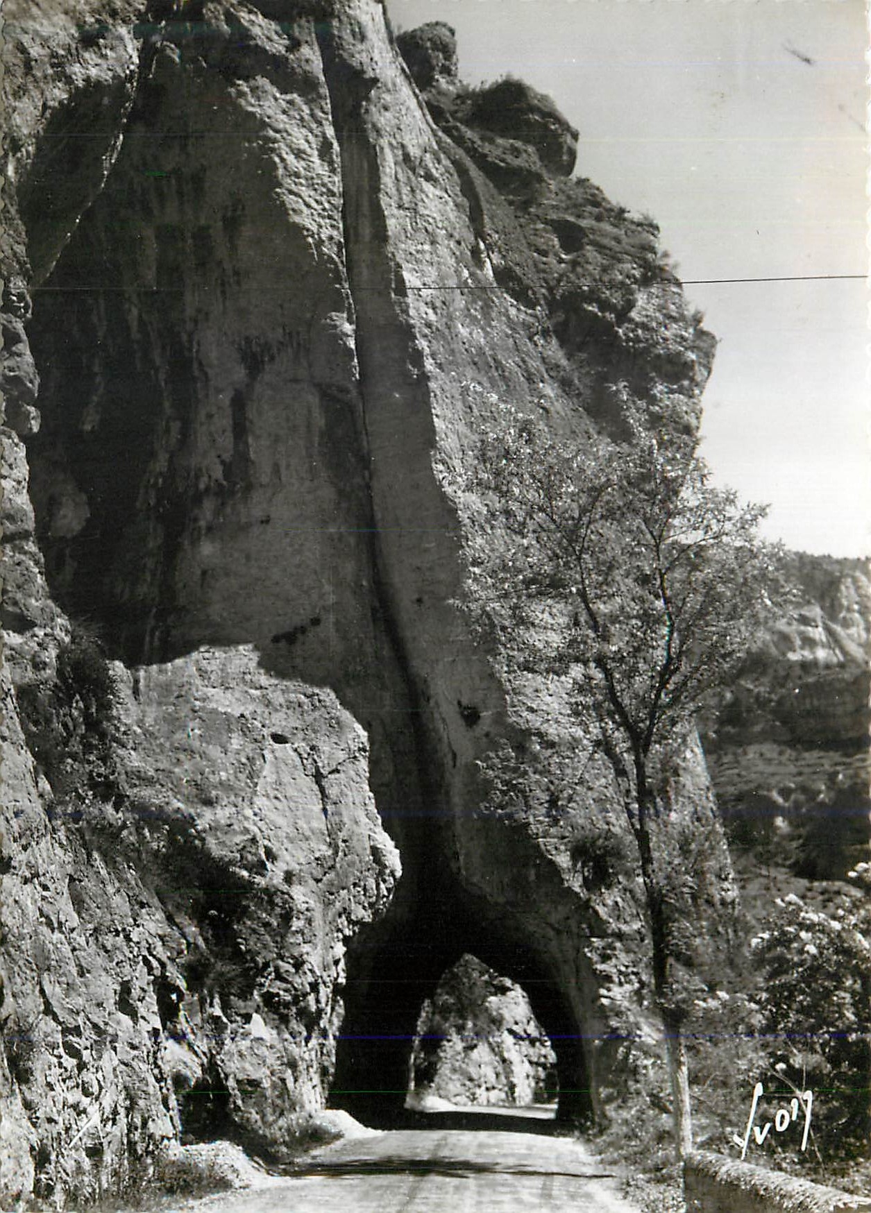 CPM Gorges du Tarn Environs de la malene (Lozere)Cirque des Baumes Falaise haute de 121 ù