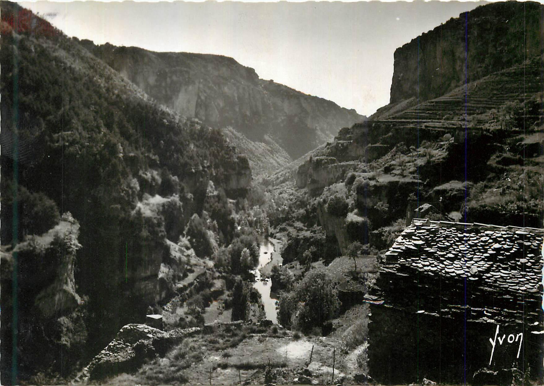 Cañon de la Jonte — Vue prise du belvédère des Terrasses — Yvon