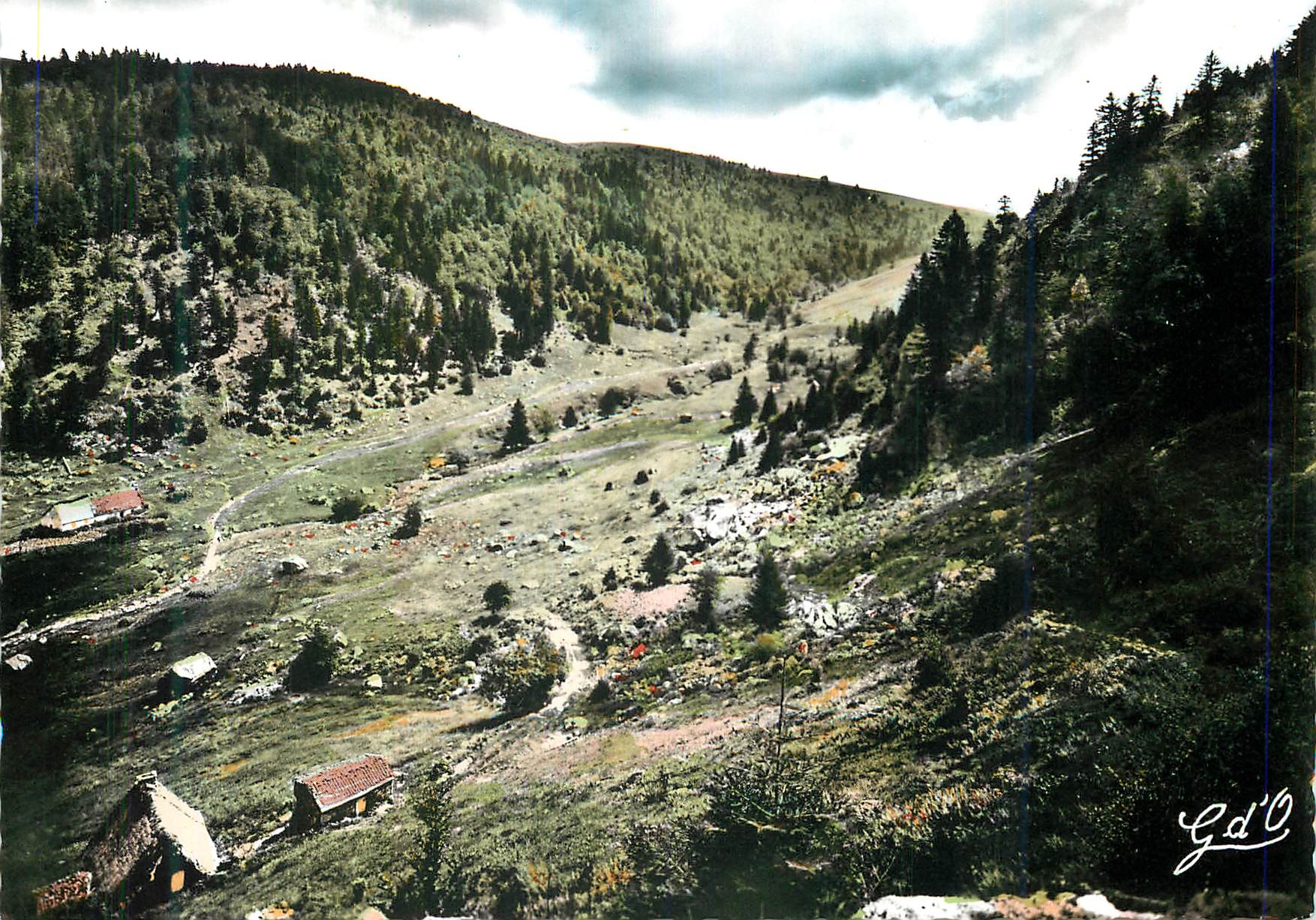 CPM L'Auvergne Les Monts du Forez Pierre sur Haute Vallee du Fossat