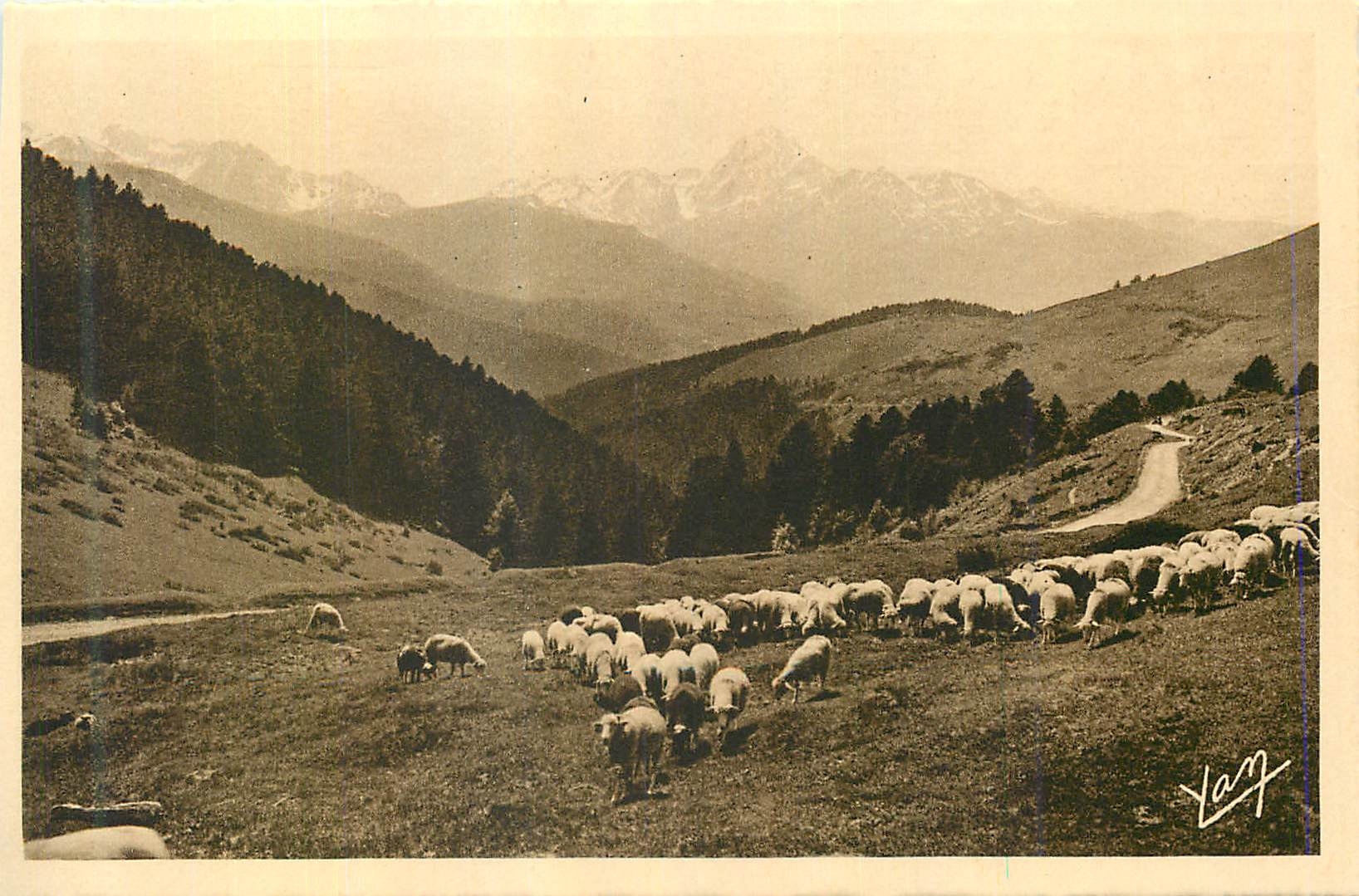 CPA Les Pyrenees Au Col d'Aspin La route vers Payolle vue sur le Pic du Midi de Bigorre