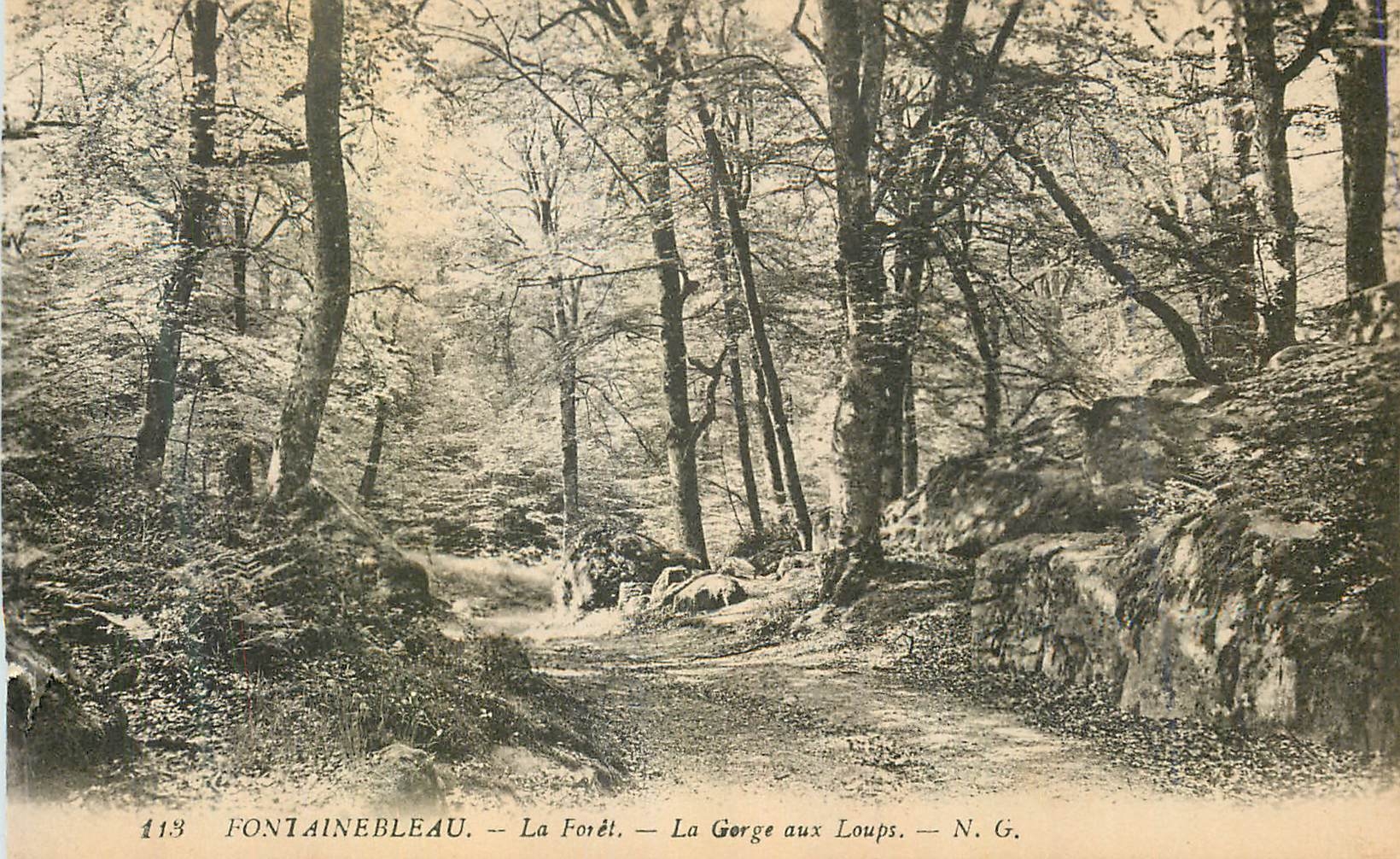 Fontainebleau — La Forêt — La Gorge aux Loups — N. G.
