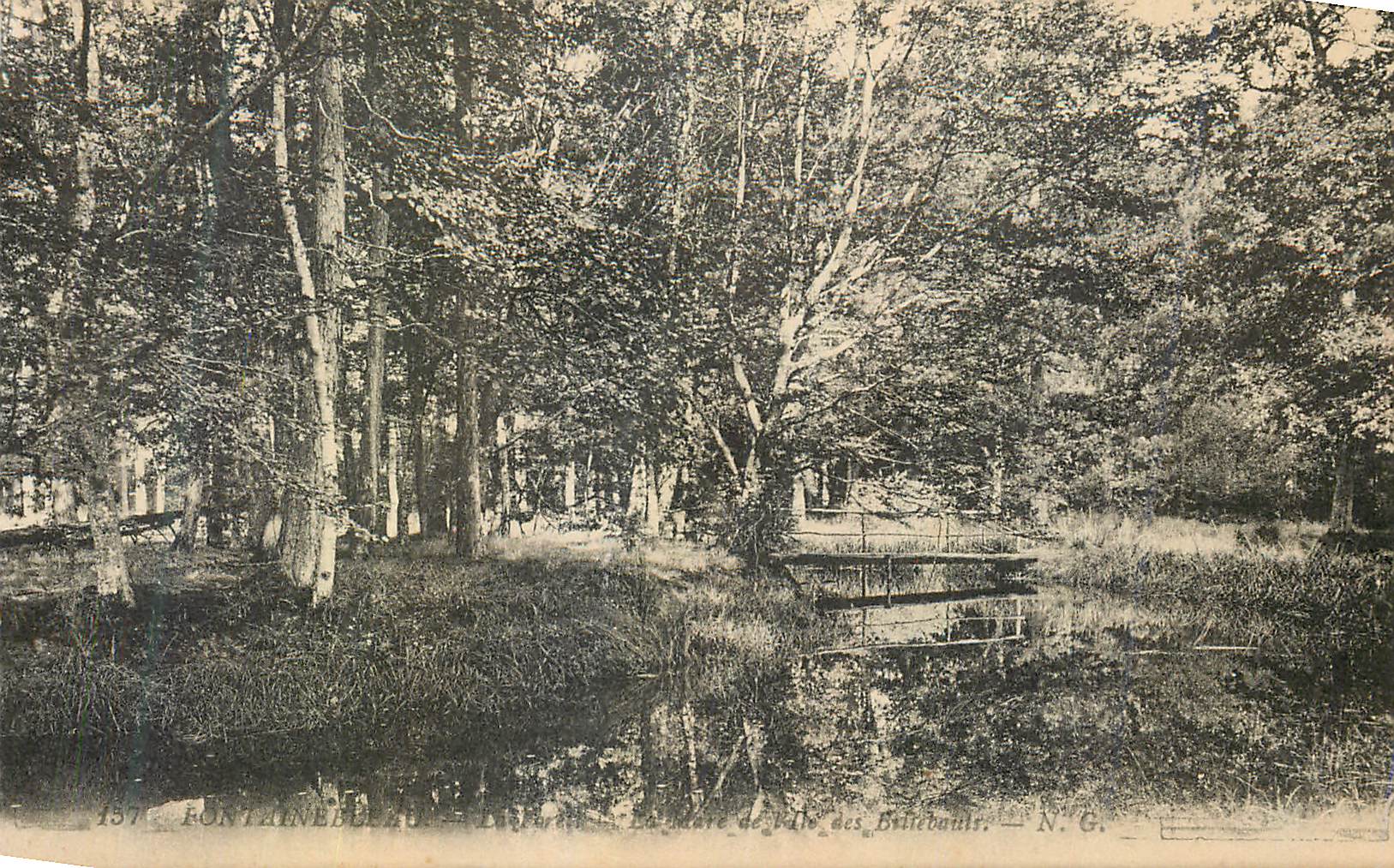 Fontainebleau — Lac de la Forêt des Bribauds — N.G.