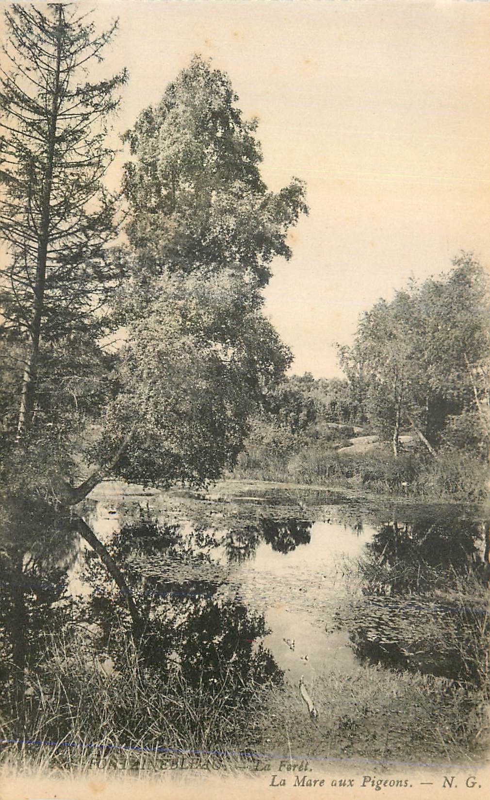 Fortizineblanc — La Mare aux Pigeons — N. G.
