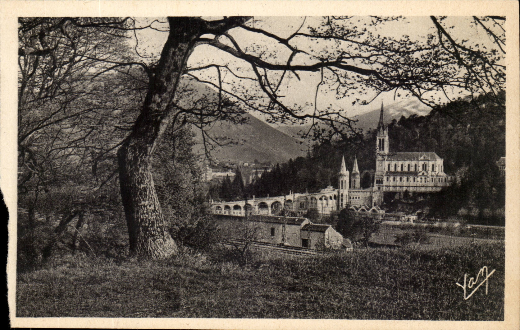 Lourdes - La Basilique - CPA 