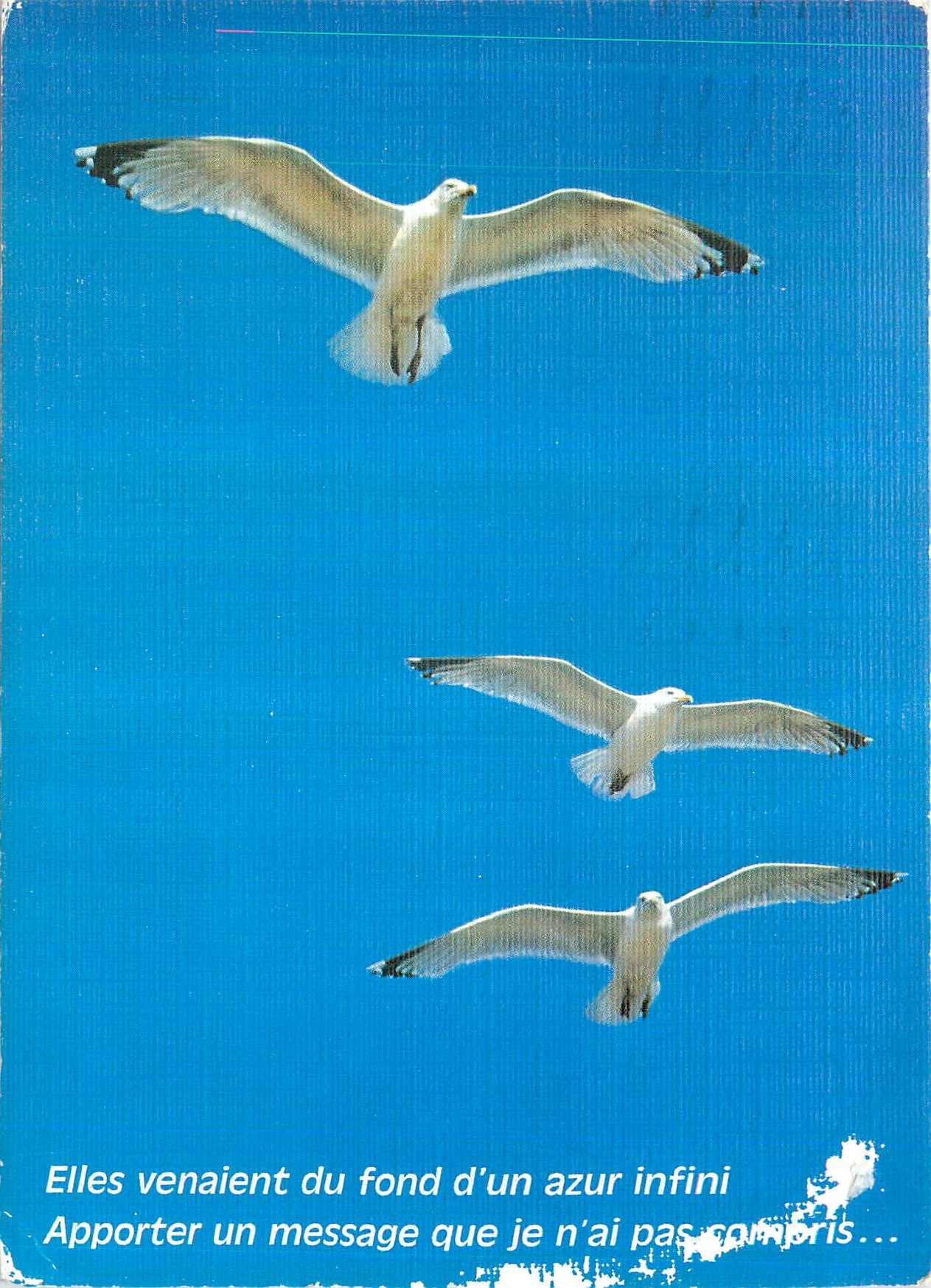 CPM Elles venaient du fond d un azur infini 
