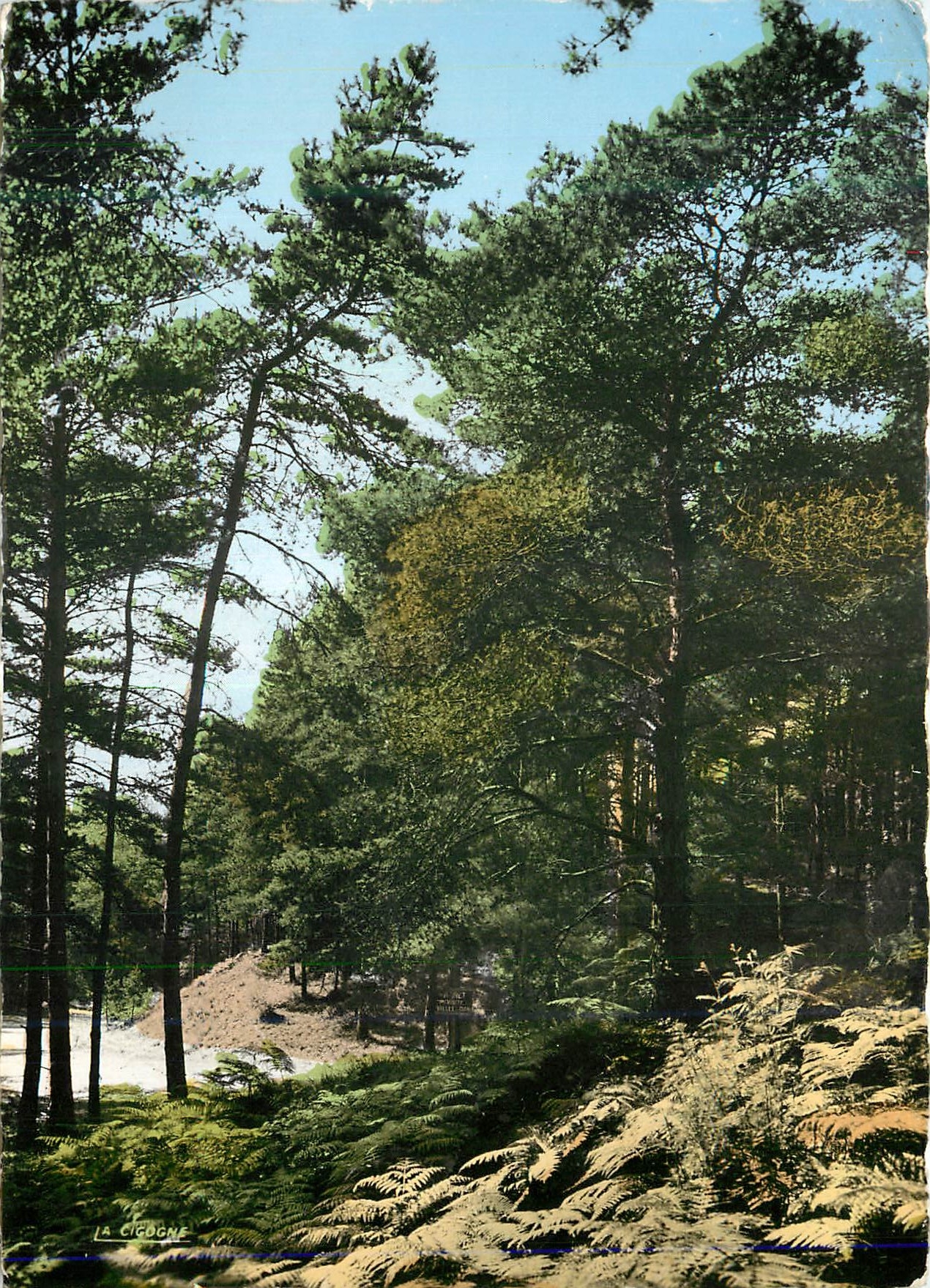 CPA Sables d Or Les Pins C du N Promenade du Bois d Amour 
