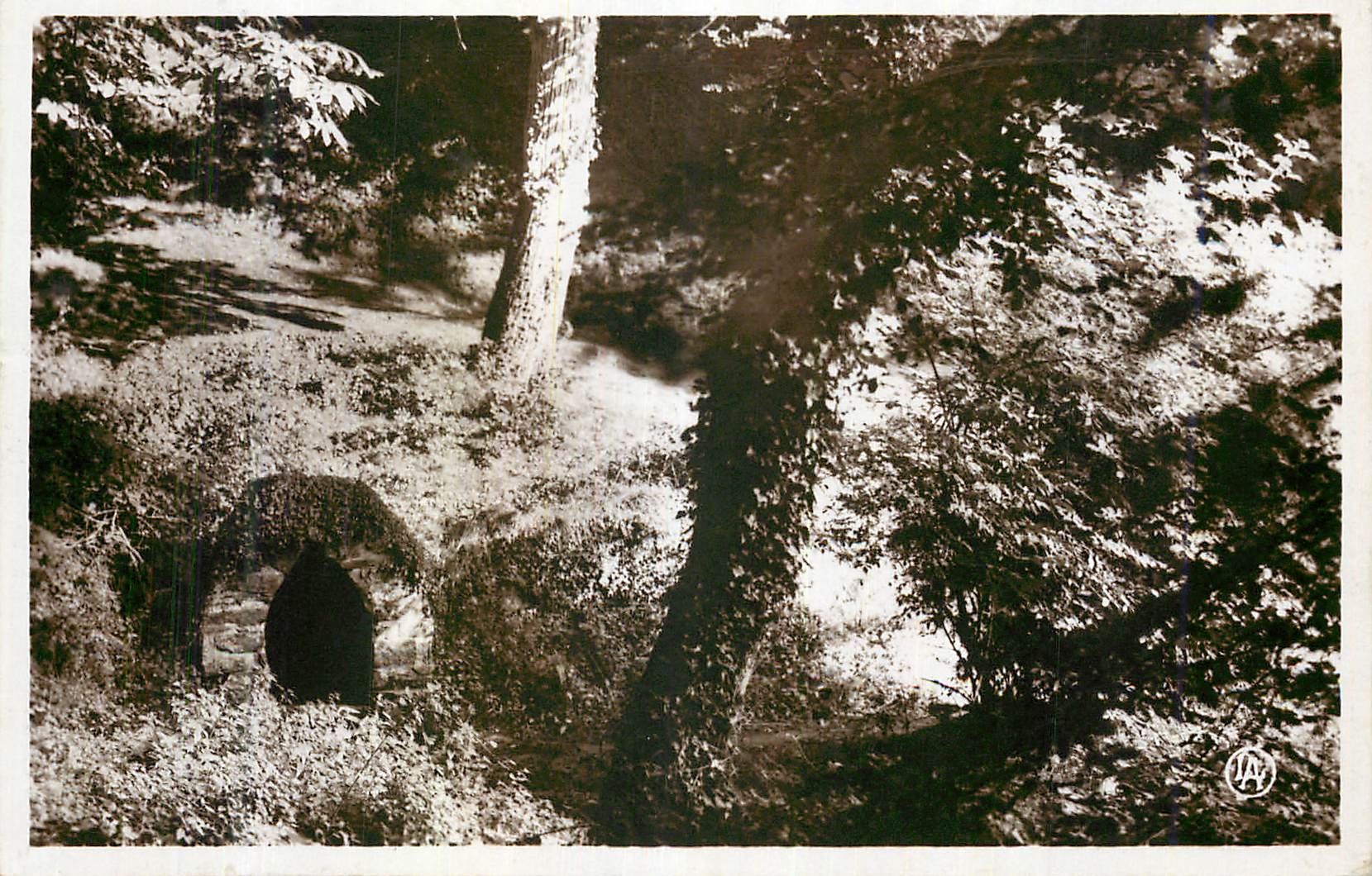 Bois de la Vieuxville — Saint-Cast — Éditeur A. LAVOQUER