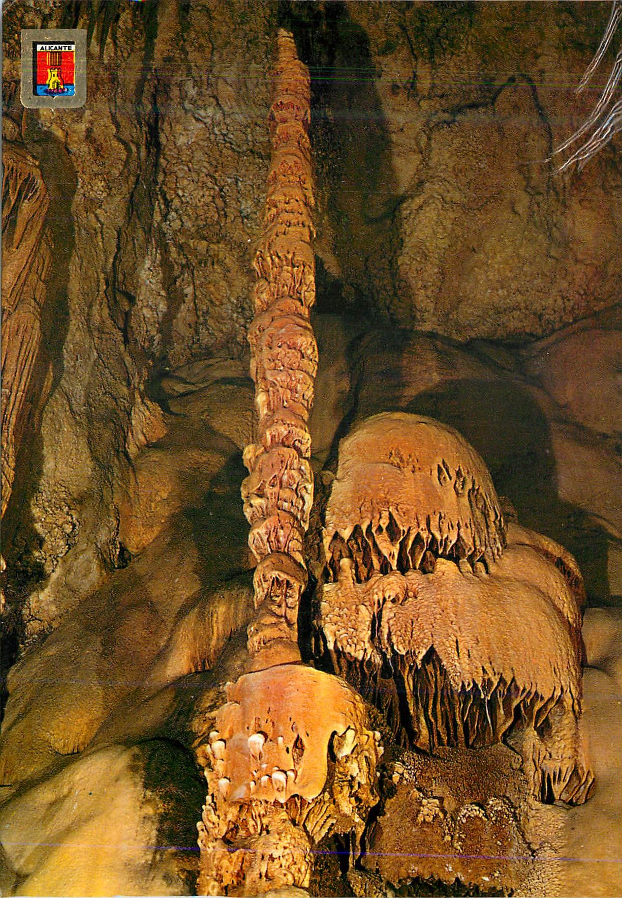 CPA Alicante Busot Cuevas de Canalobre Palmier et medunee de mer 