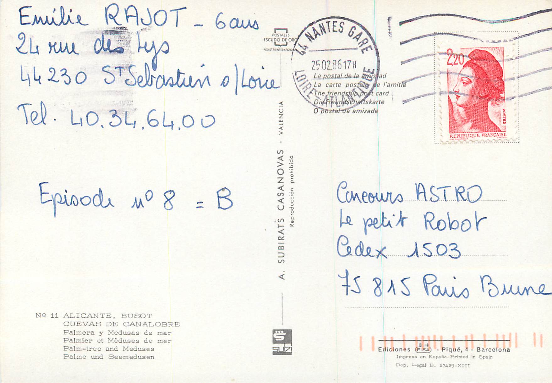 CPA Alicante Busot Cuevas de Canalobre Palmier et medunee de mer  — Rückseite
