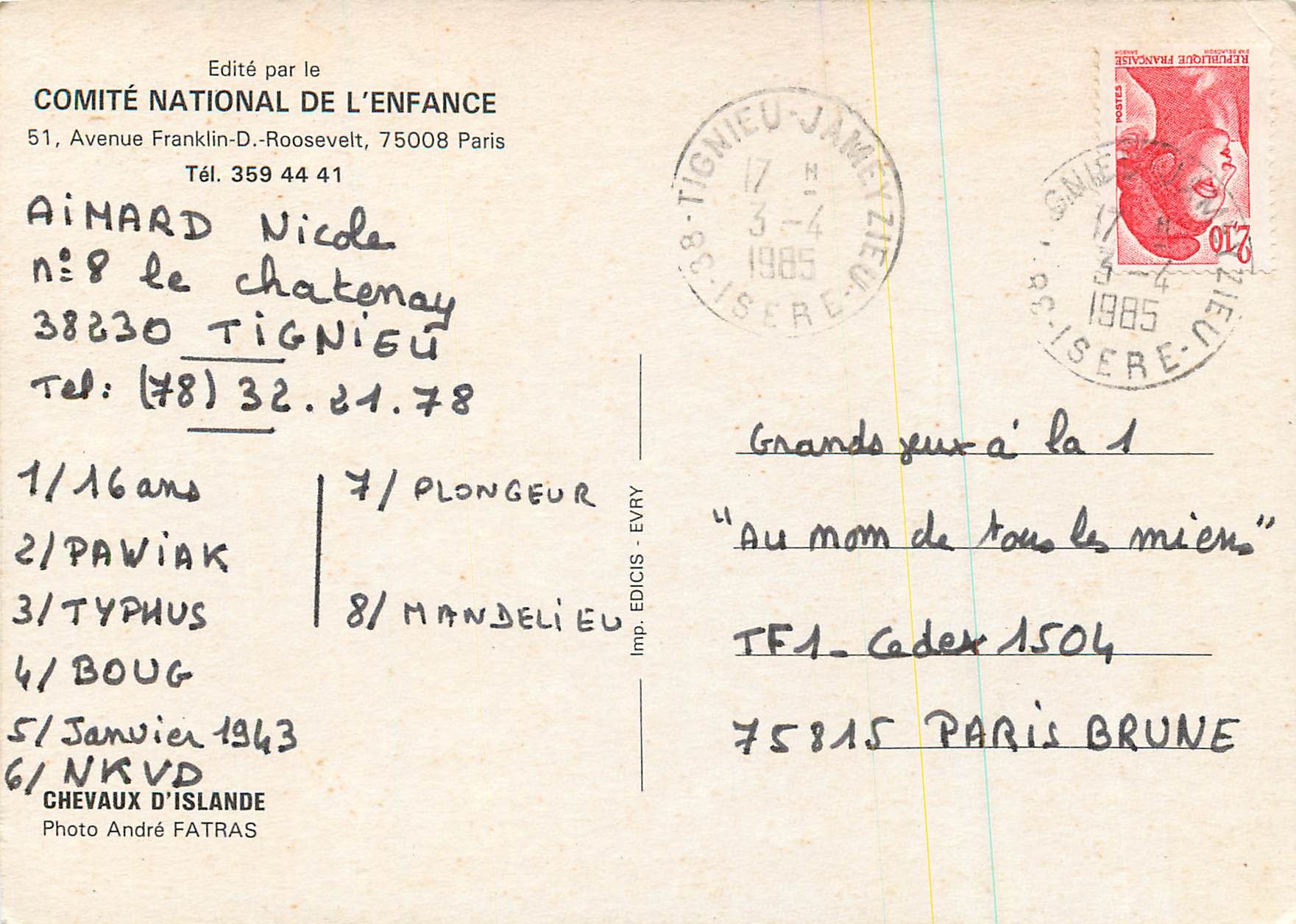 CPA Chevaux d Islande  — Back