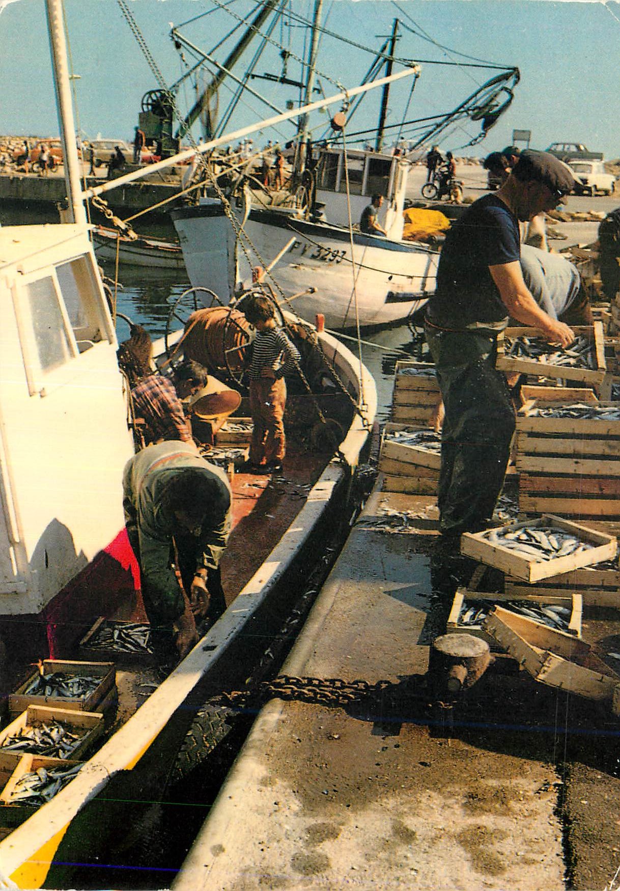 CPM Scene de peche en Mediterranee Bateaux de peche