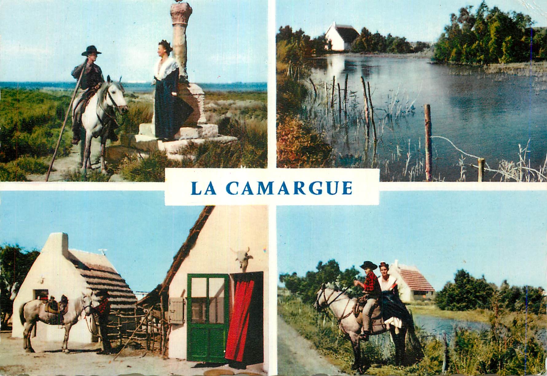 CPM En Camargue Avec les Gardians Chevaux Folklore