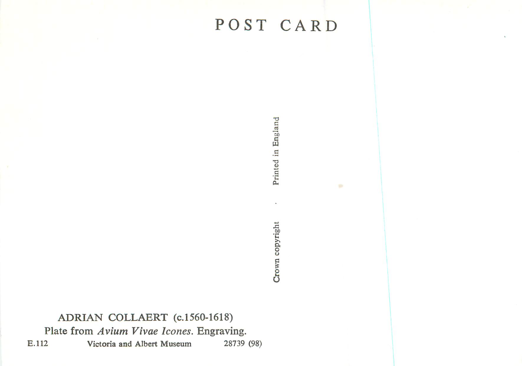 CPM Adrian Collaert Plate from Avium Vivae Icones Engraving Victoria and Albert Museum  — Rückseite